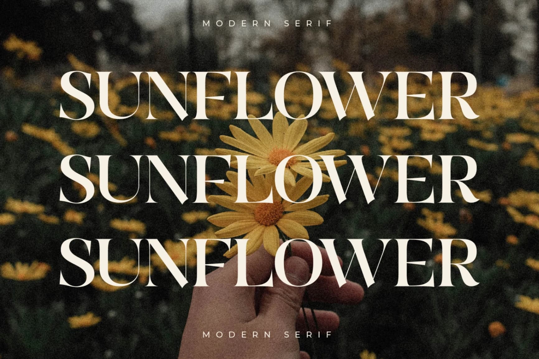 Preview 12 for Quilge - Modern Serif