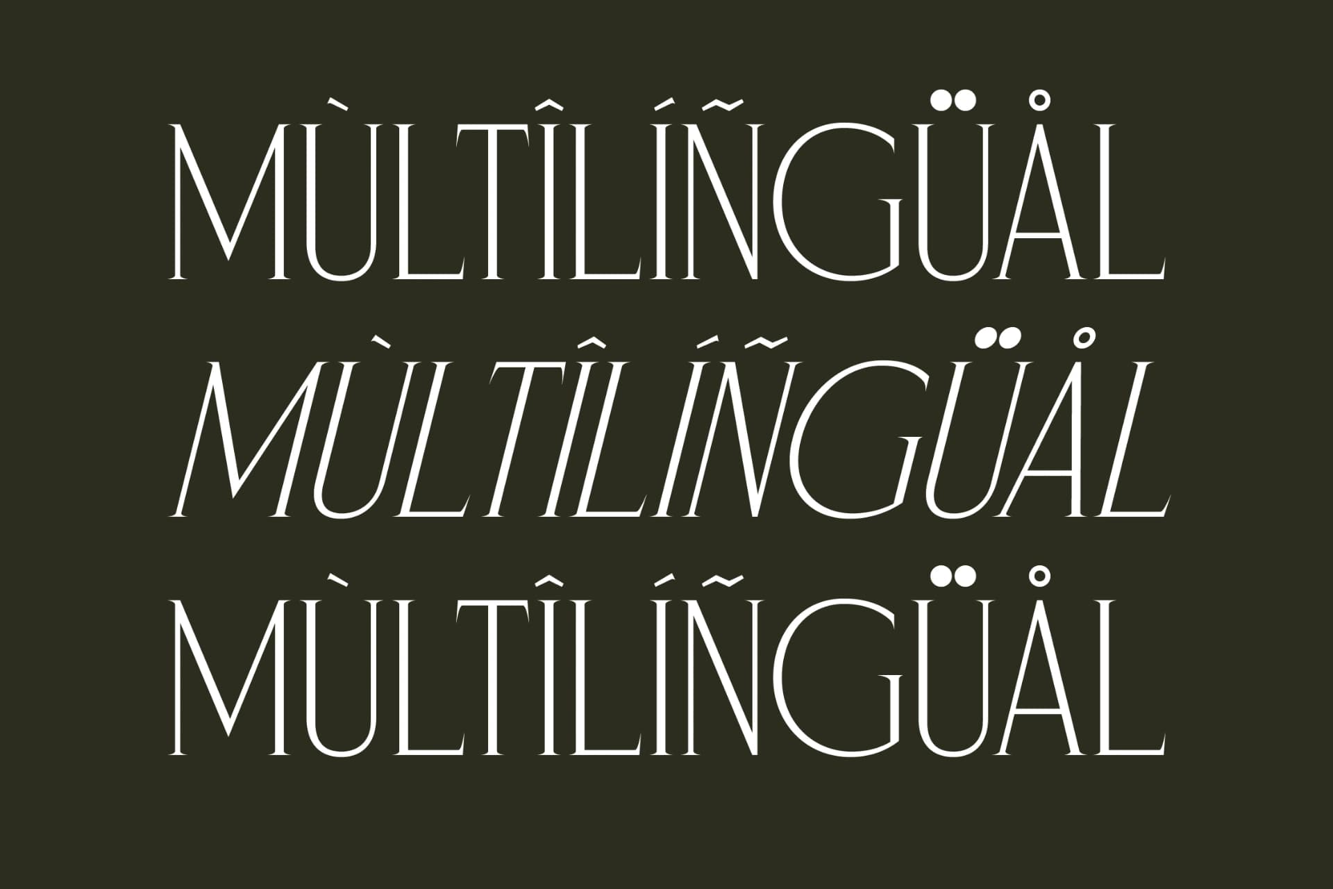 Preview 12 for Magnofia – Modern Serif Font