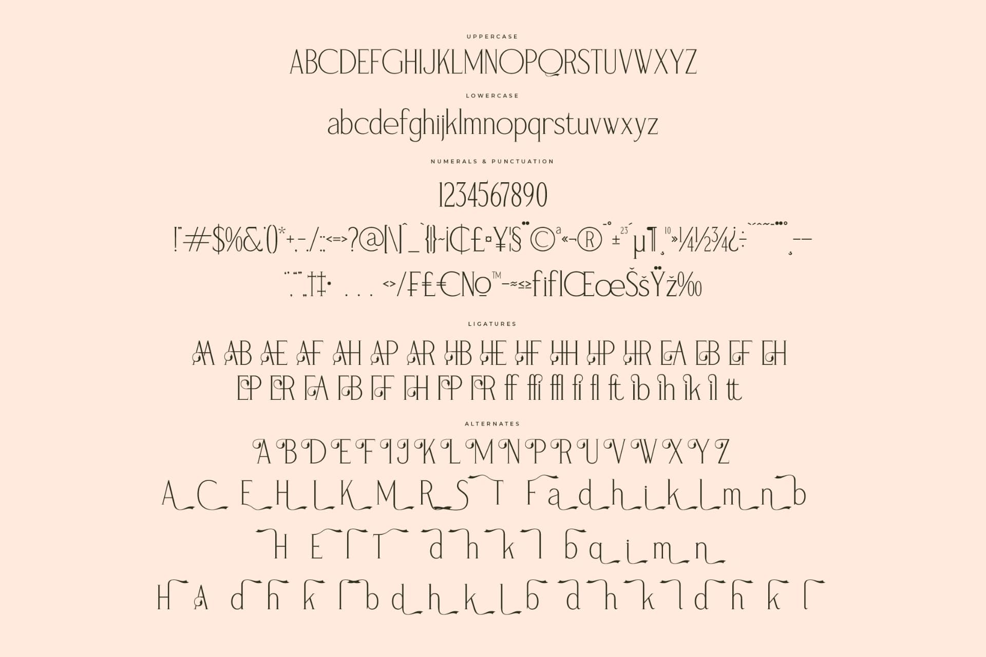 Preview 13 for Magnofia – Modern Serif Font