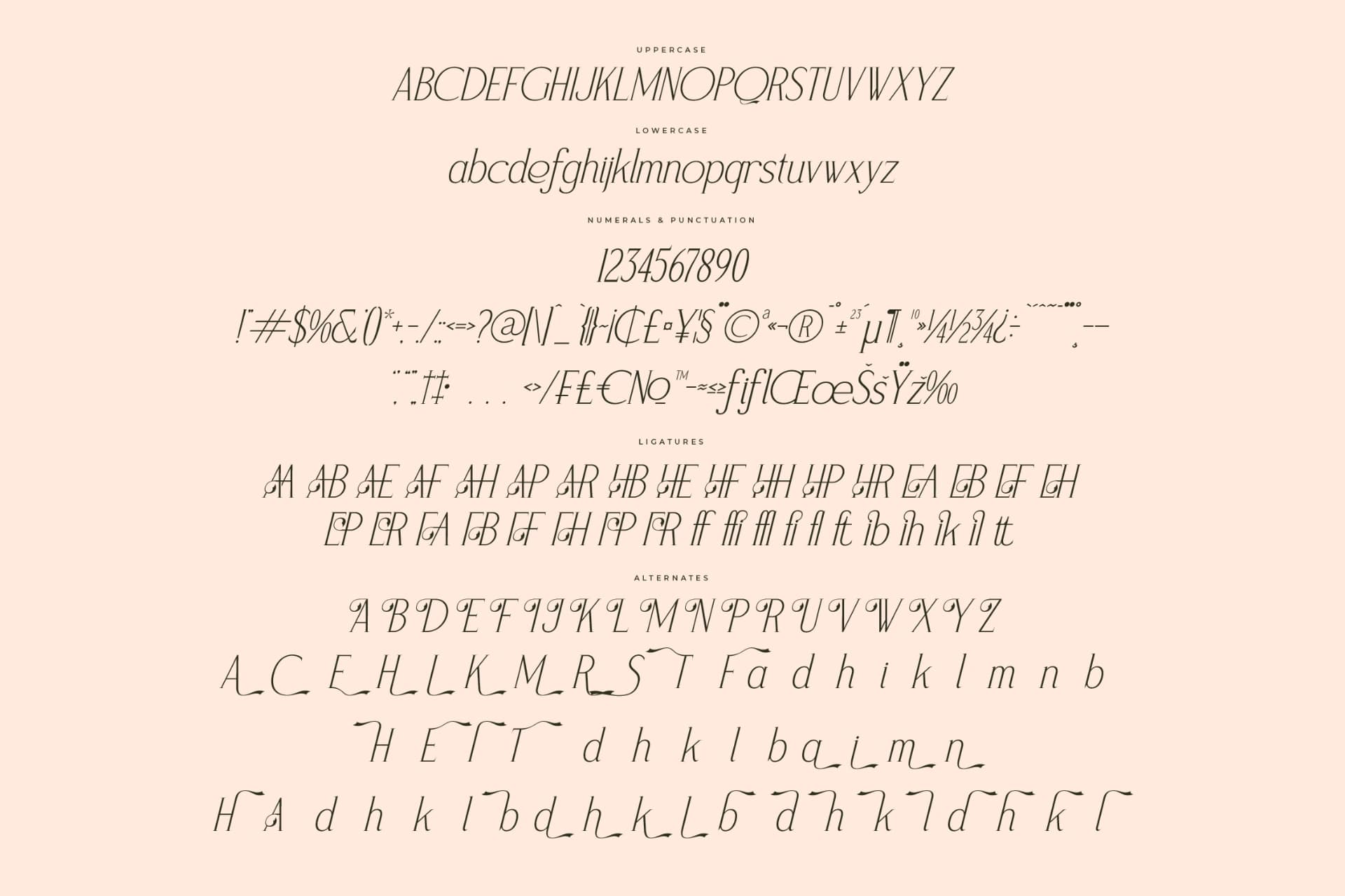 Preview 14 for Magnofia – Modern Serif Font