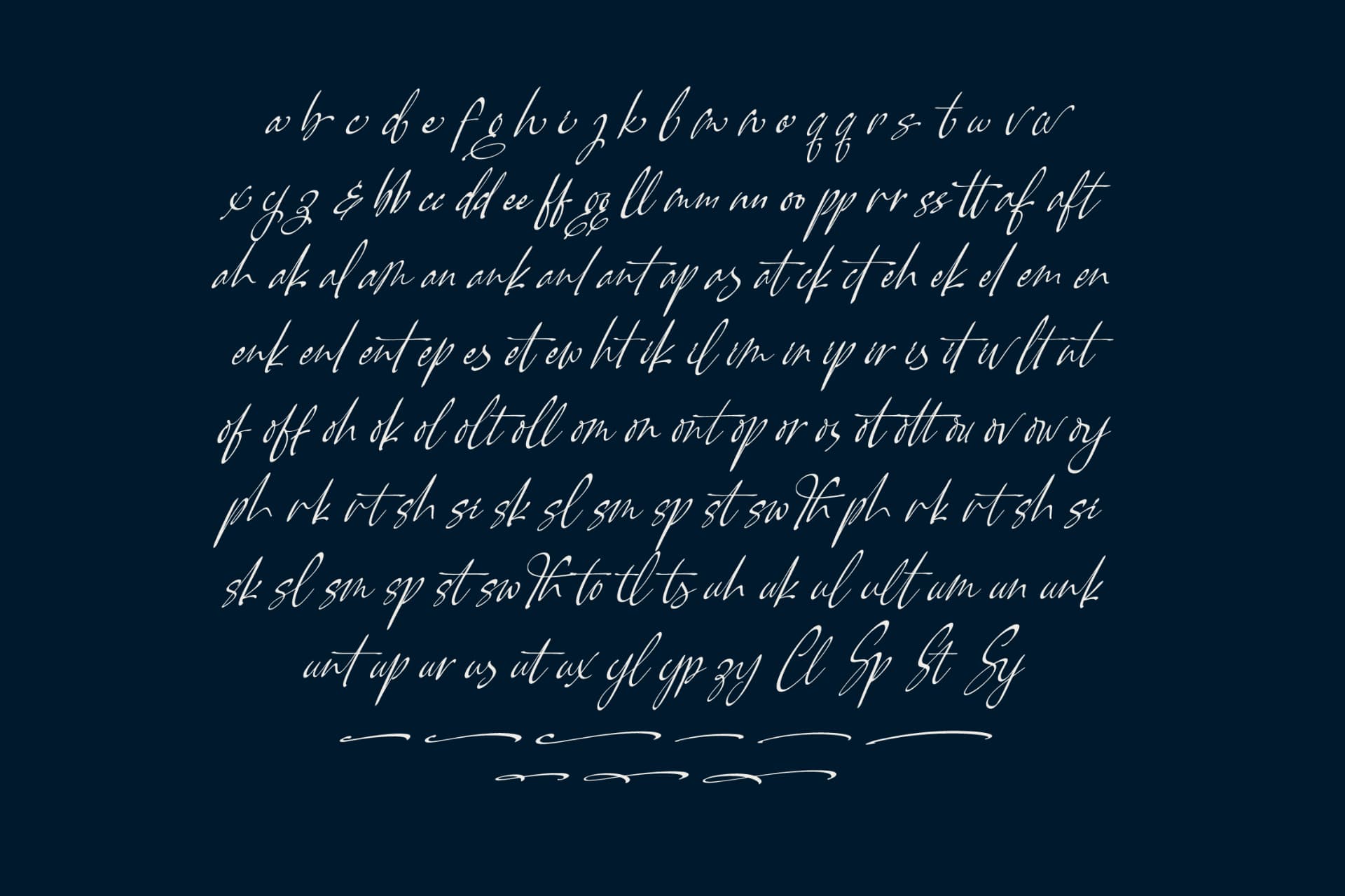 Preview 14 for Pamric Mevira – Handwritten Ink Font