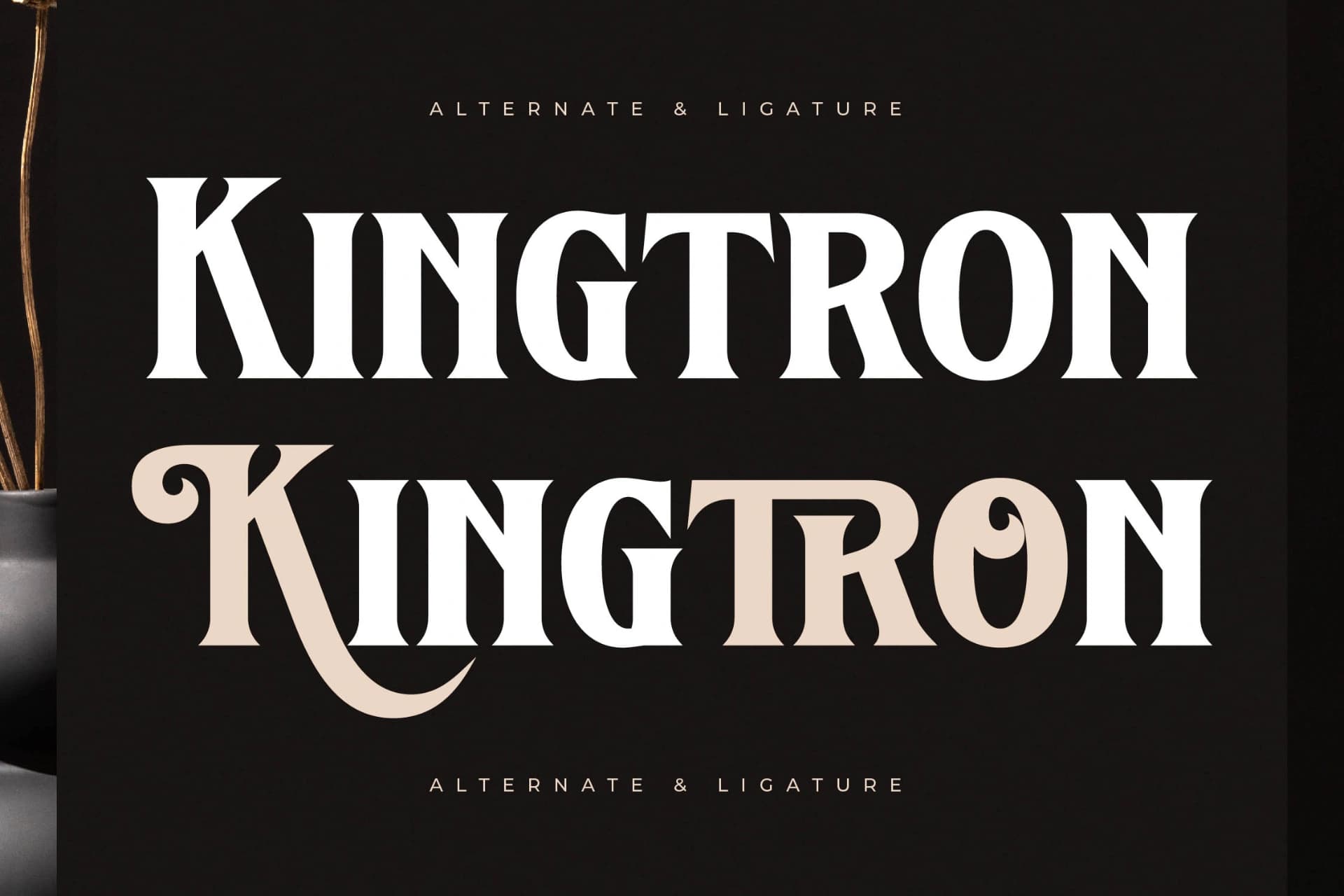 Preview 7 for Kingtron – Modern Serif Display