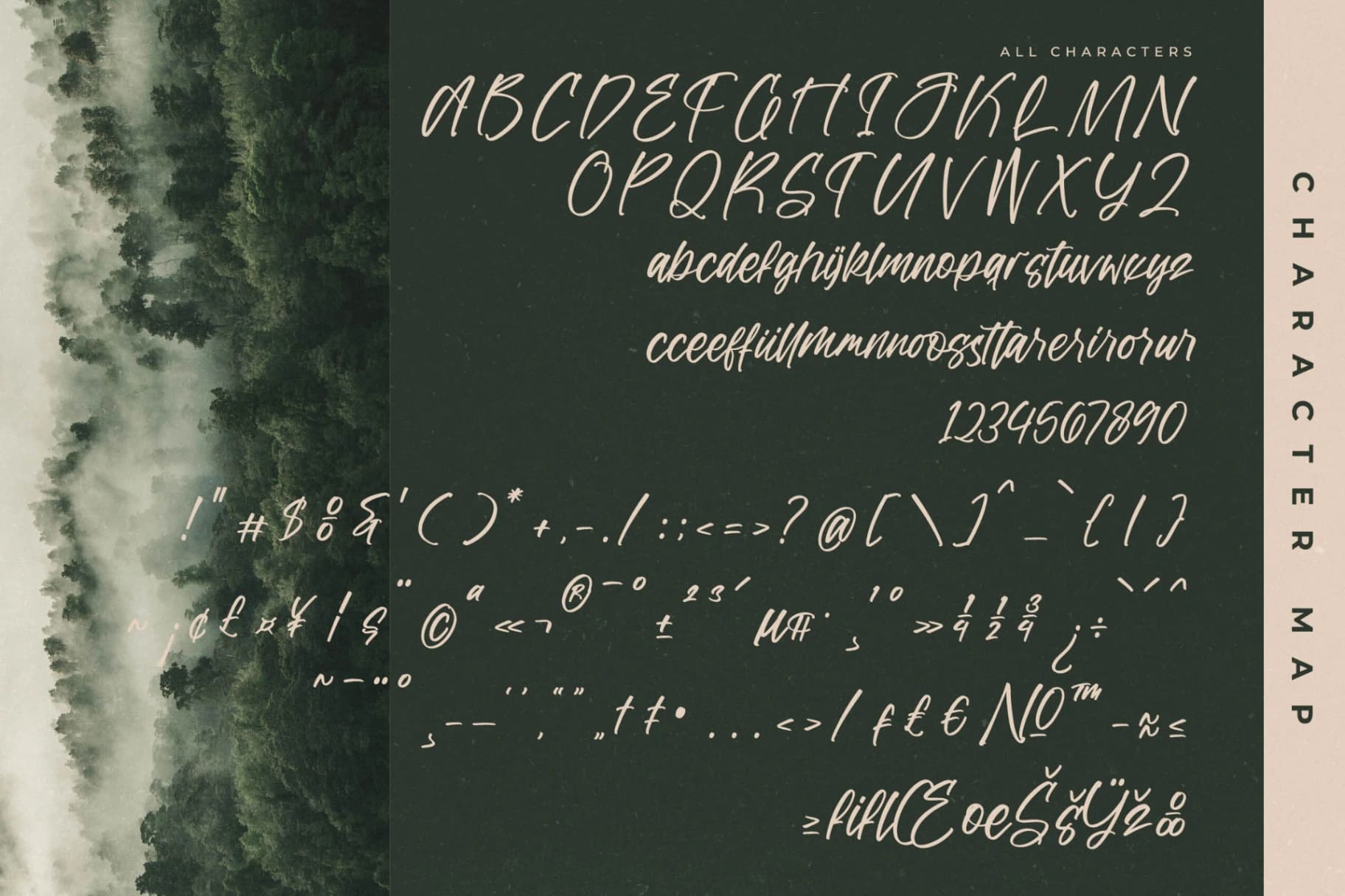 Preview 14 for Golden Forest – Modern Handwritten Script
