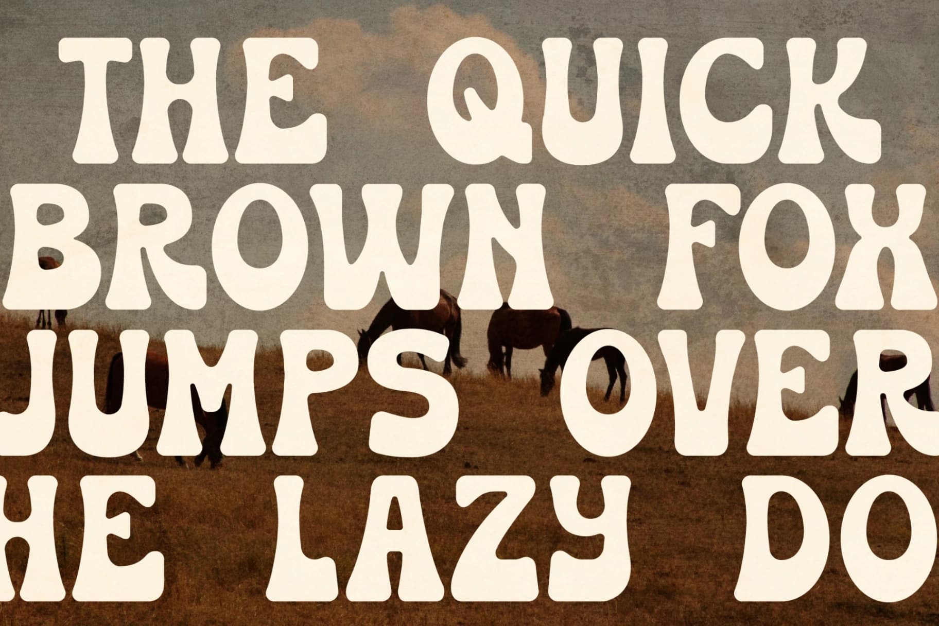 Preview 7 for Huston - Western Display Font