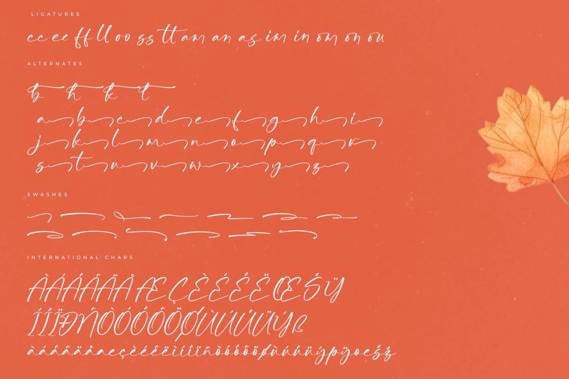 Preview 14 for Autumn Silent – Modern Handwritten Script