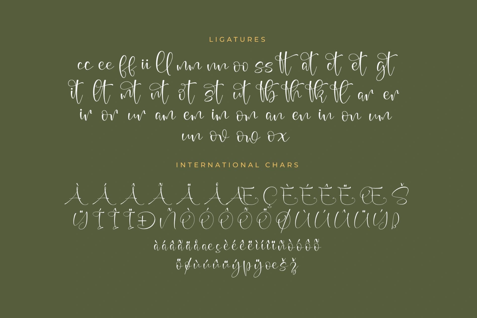 Preview 14 for Beauty Sungold – Beautiful Script Font