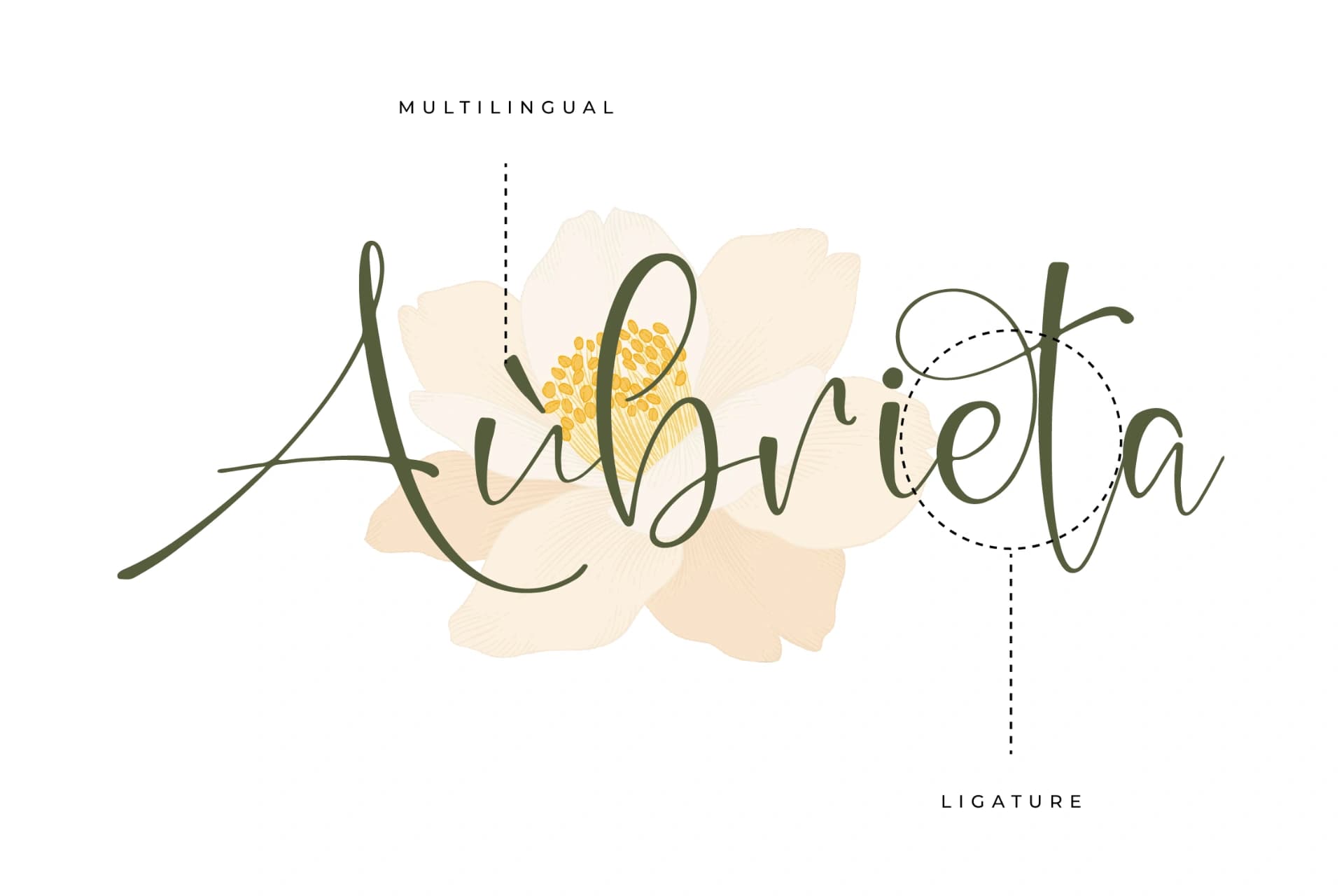 Preview 12 for Beauty Sungold – Beautiful Script Font