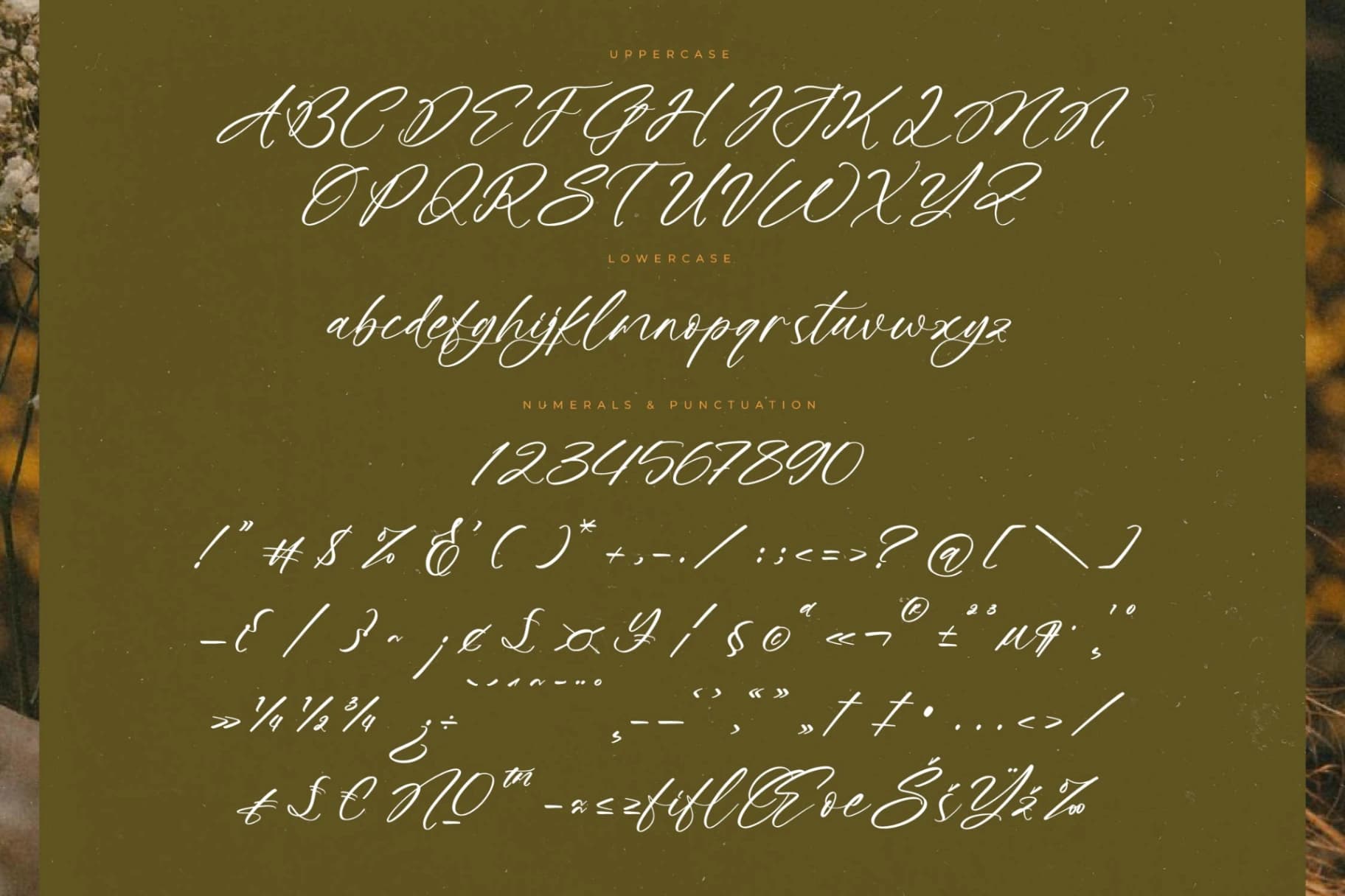 Preview 13 for Maristya Juliette - Modern Handwritten Script