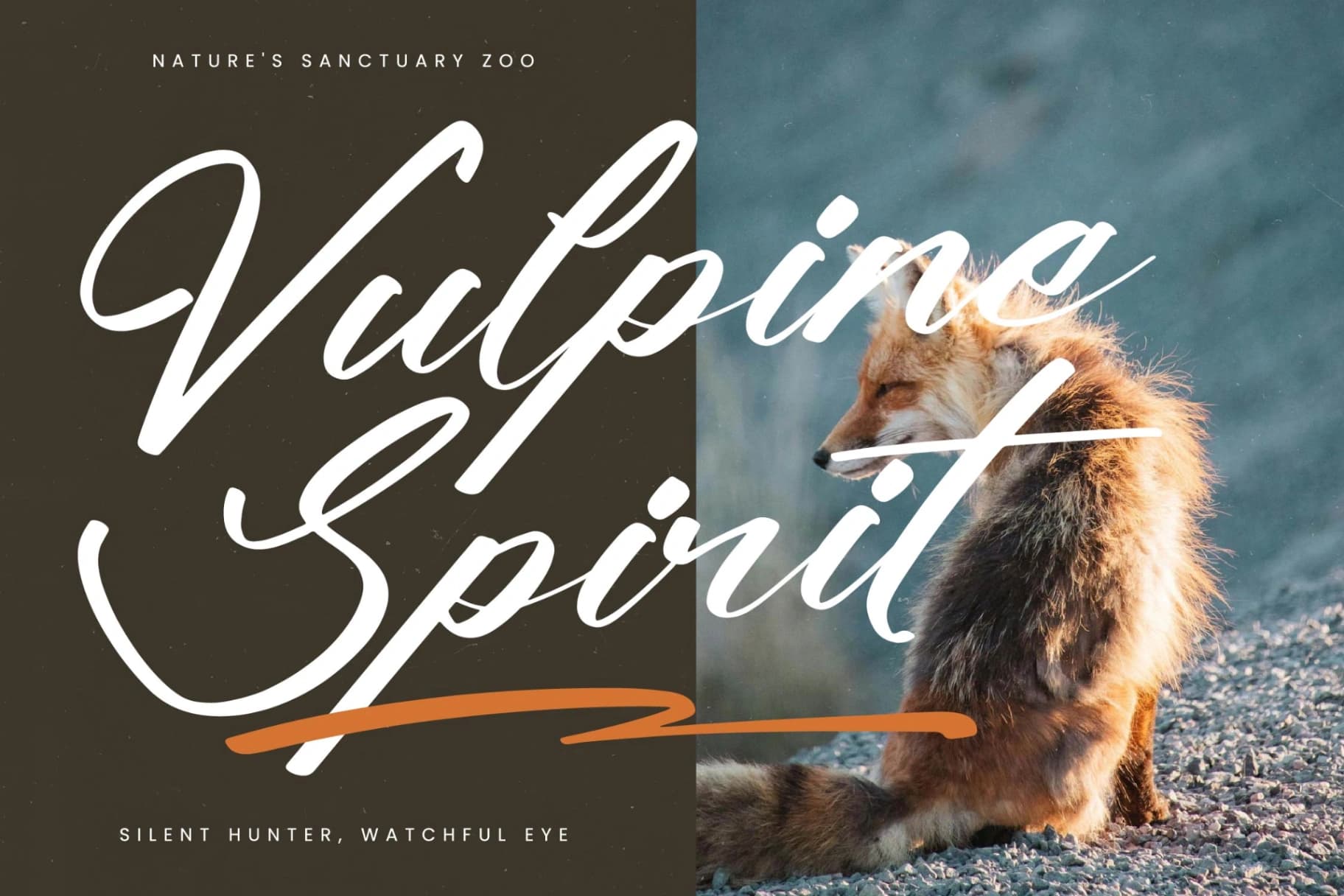 Preview 6 for Climbing Nature – Modern Calligraphy Font