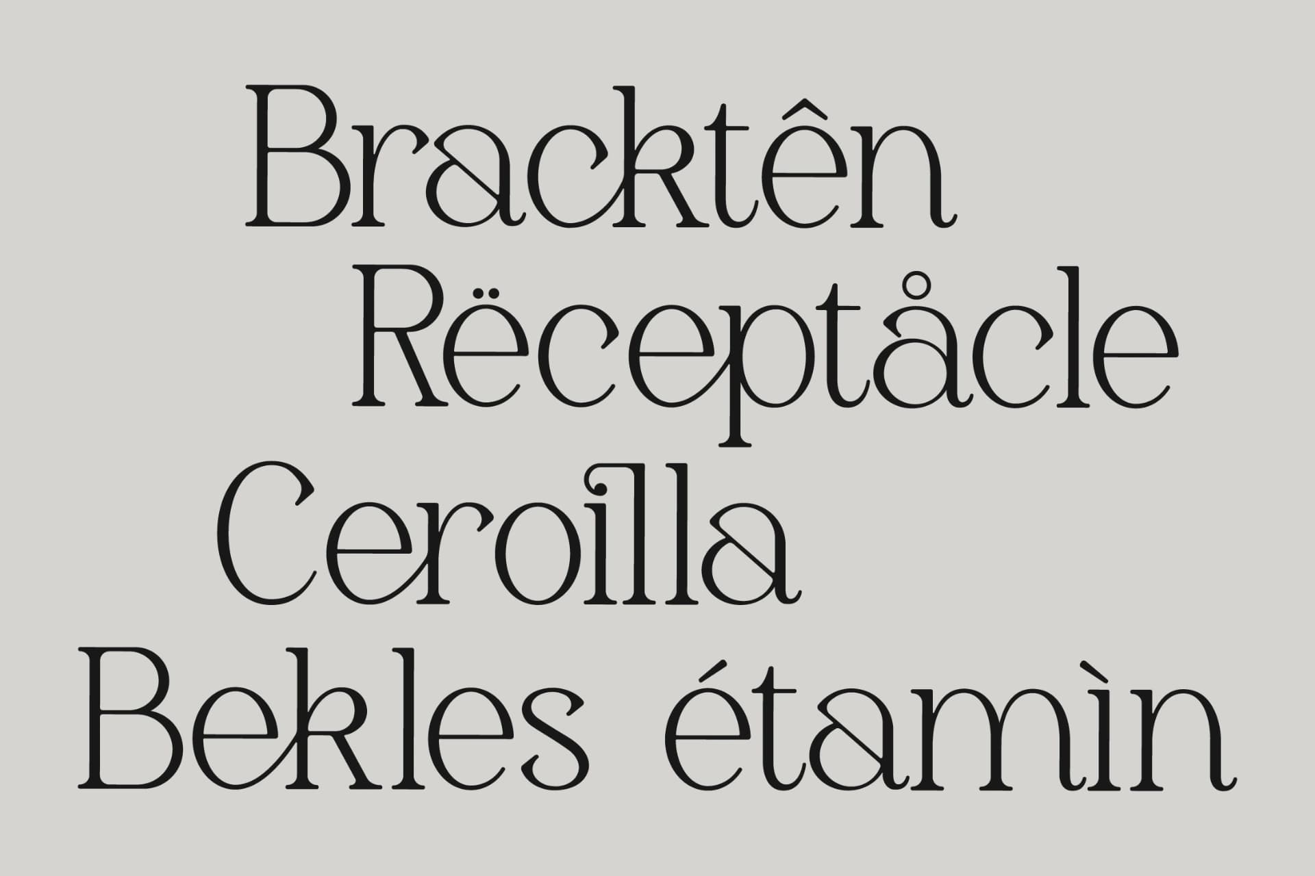 Preview 8 for Gerlick - Modern Serif Font