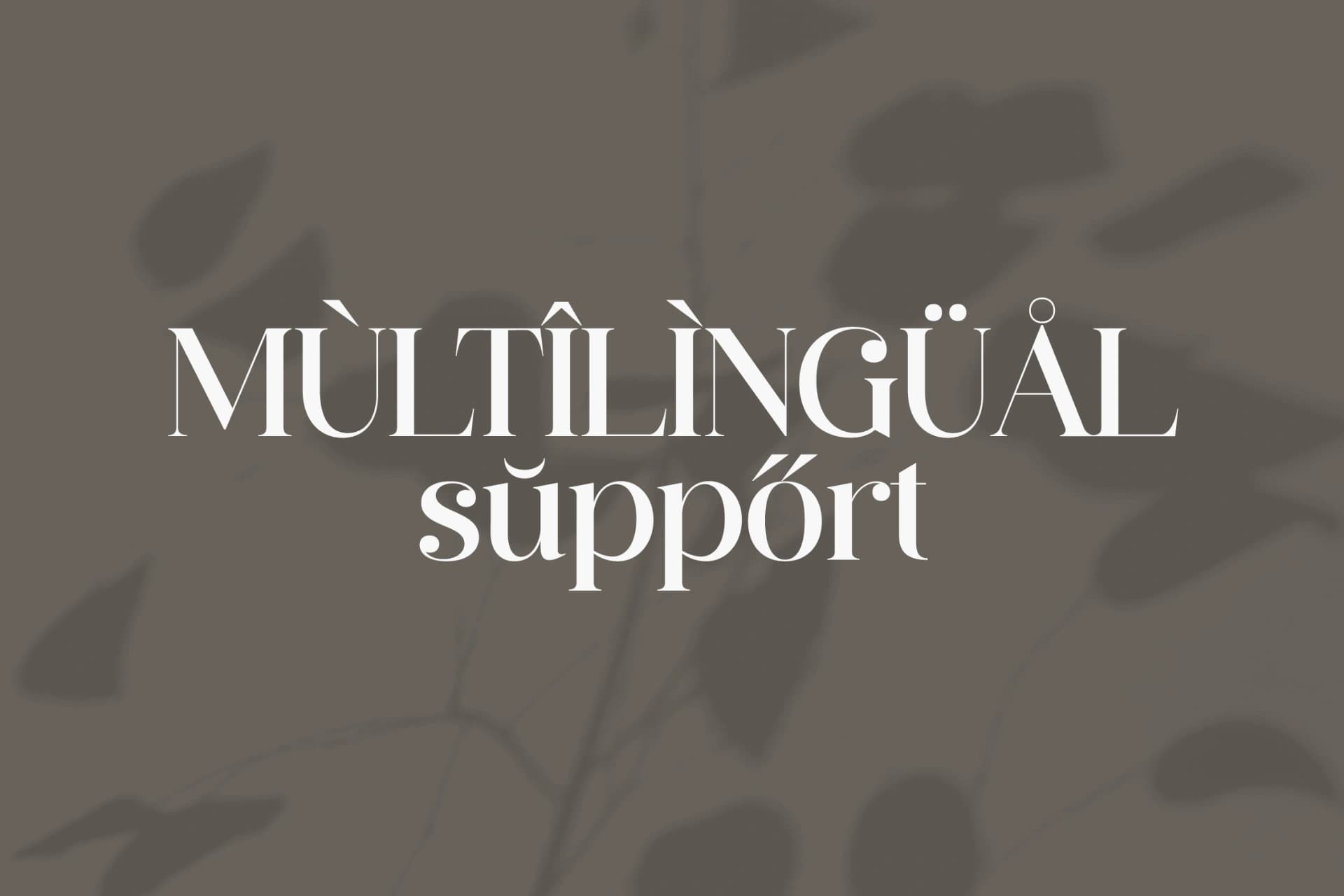 Preview 9 for Hergika - Modern Elegan Serif Font