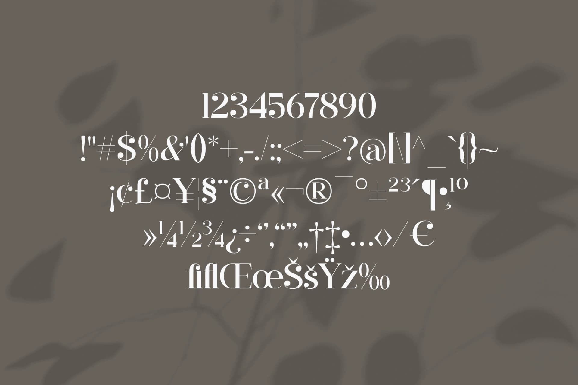 Preview 11 for Hergika - Modern Elegan Serif Font
