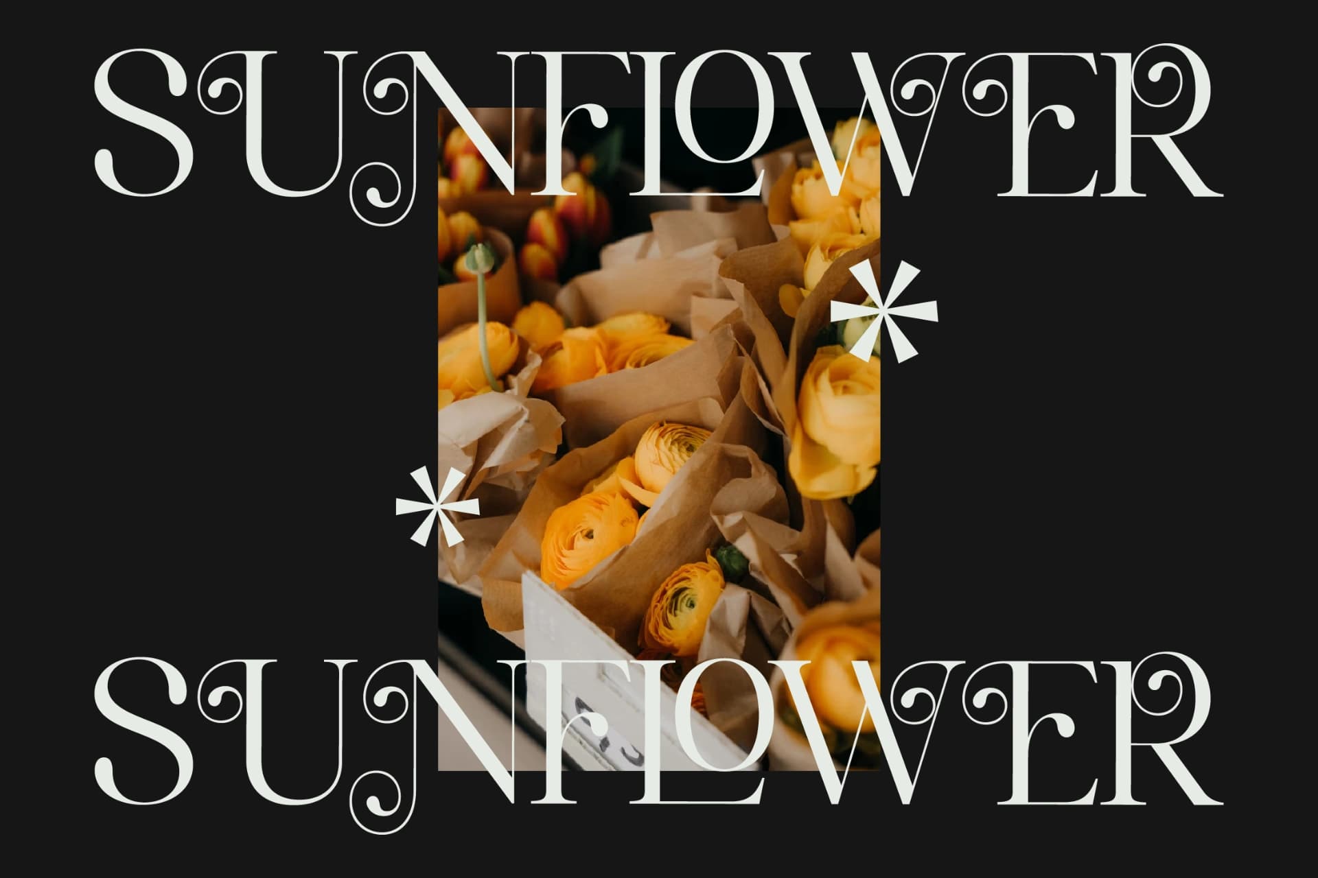 Preview 8 for Marllgon - Stylish Serif Font