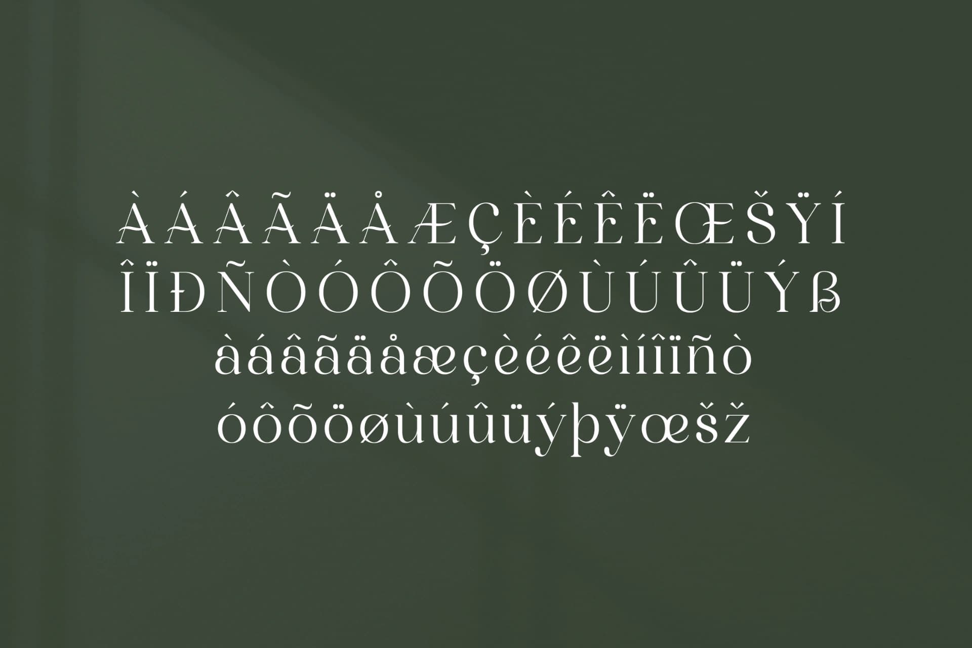 Preview 14 for Marllgon - Stylish Serif Font