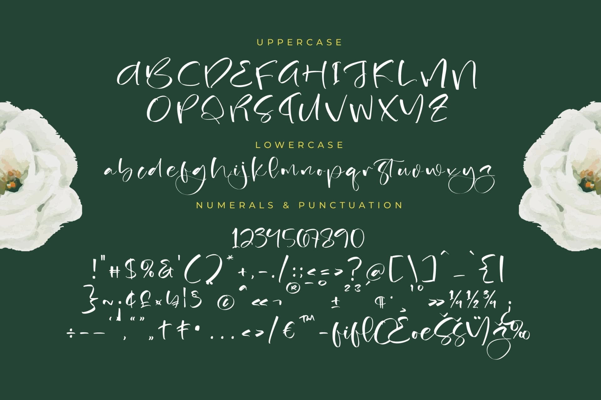 Preview 13 for Bistania Mayneli - Freestyle Stylish Font