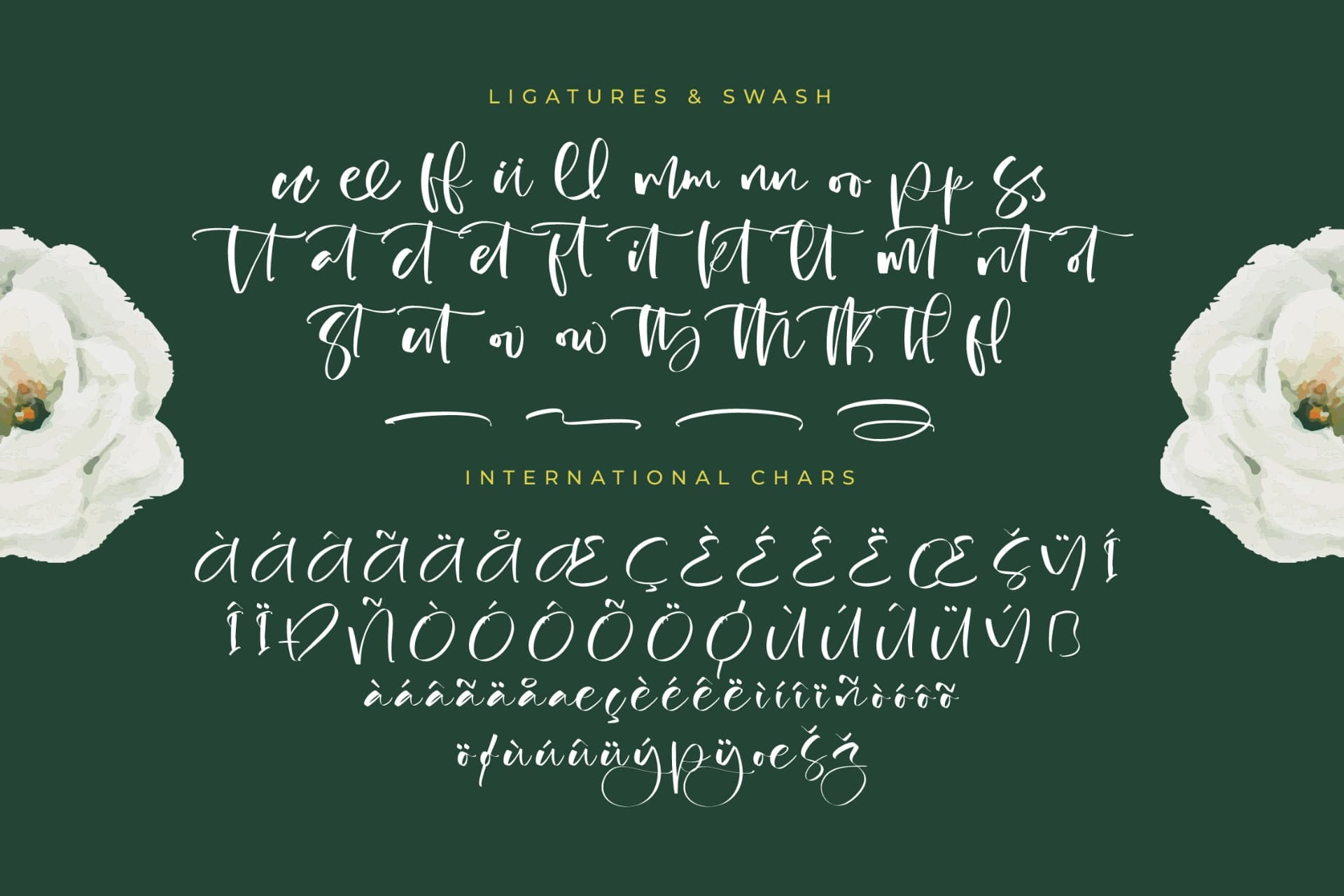 Preview 14 for Bistania Mayneli - Freestyle Stylish Font
