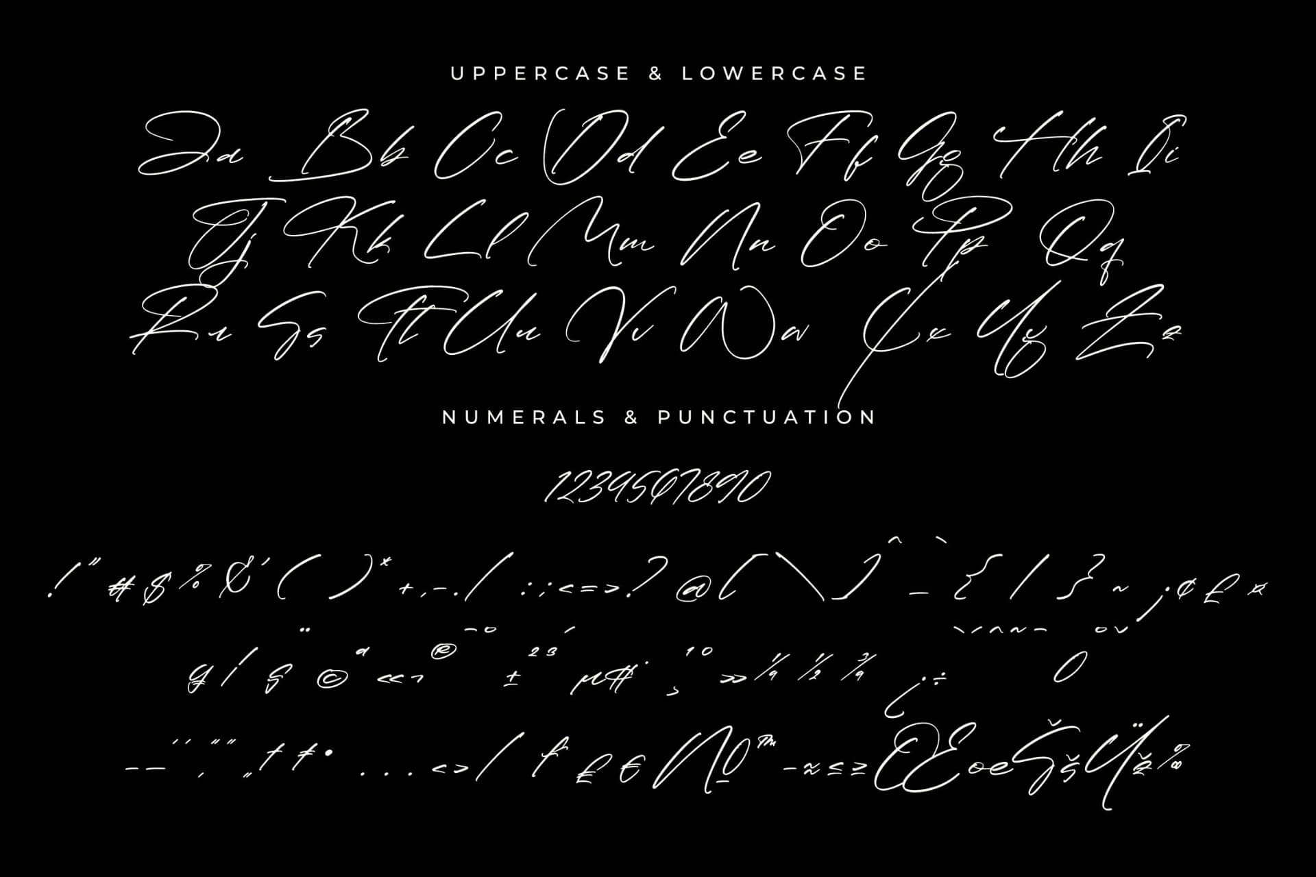 Preview 13 for Paradise Stonelife – Modern Signature Script
