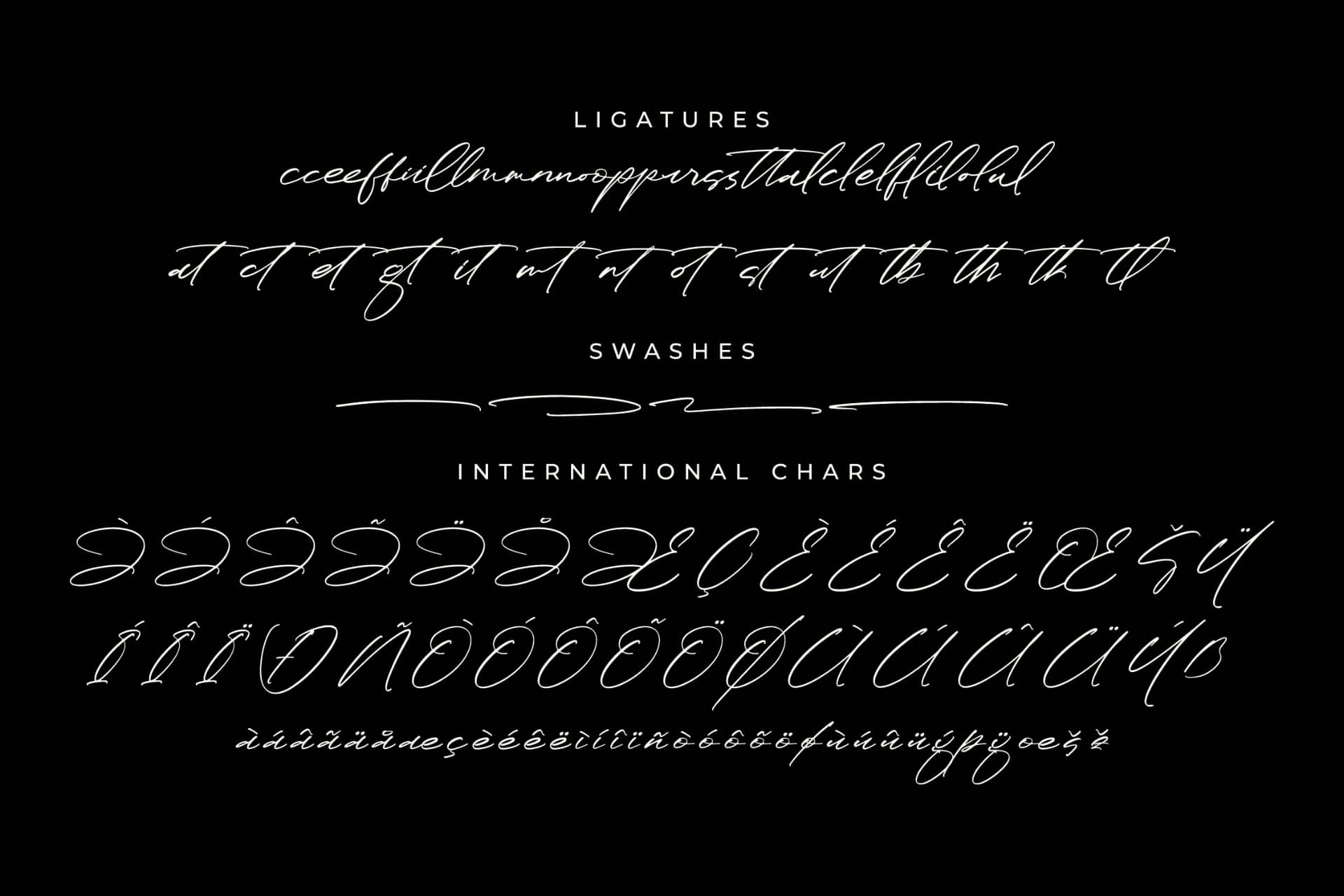 Preview 14 for Paradise Stonelife – Modern Signature Script
