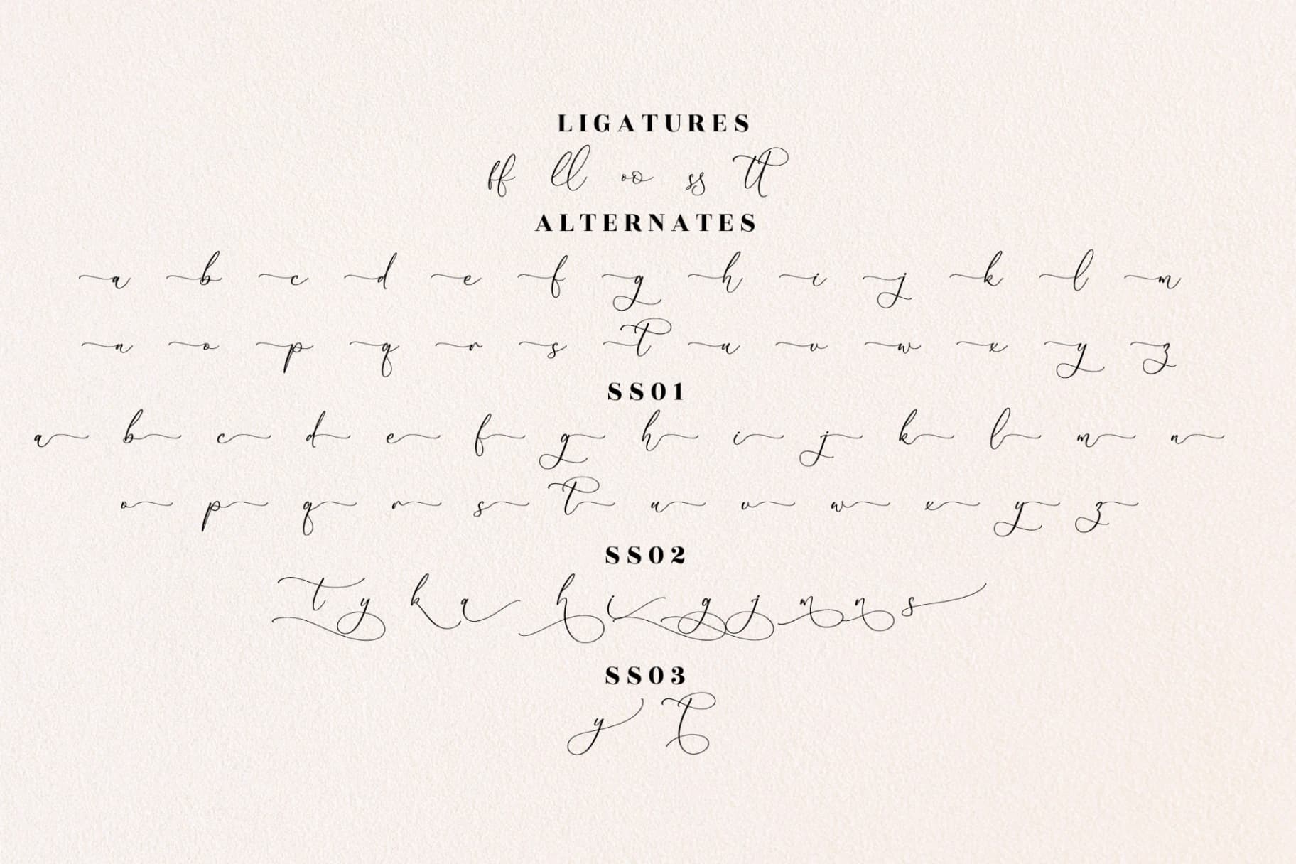 Preview 13 for Gutierha Pattery - Luxury Script Font