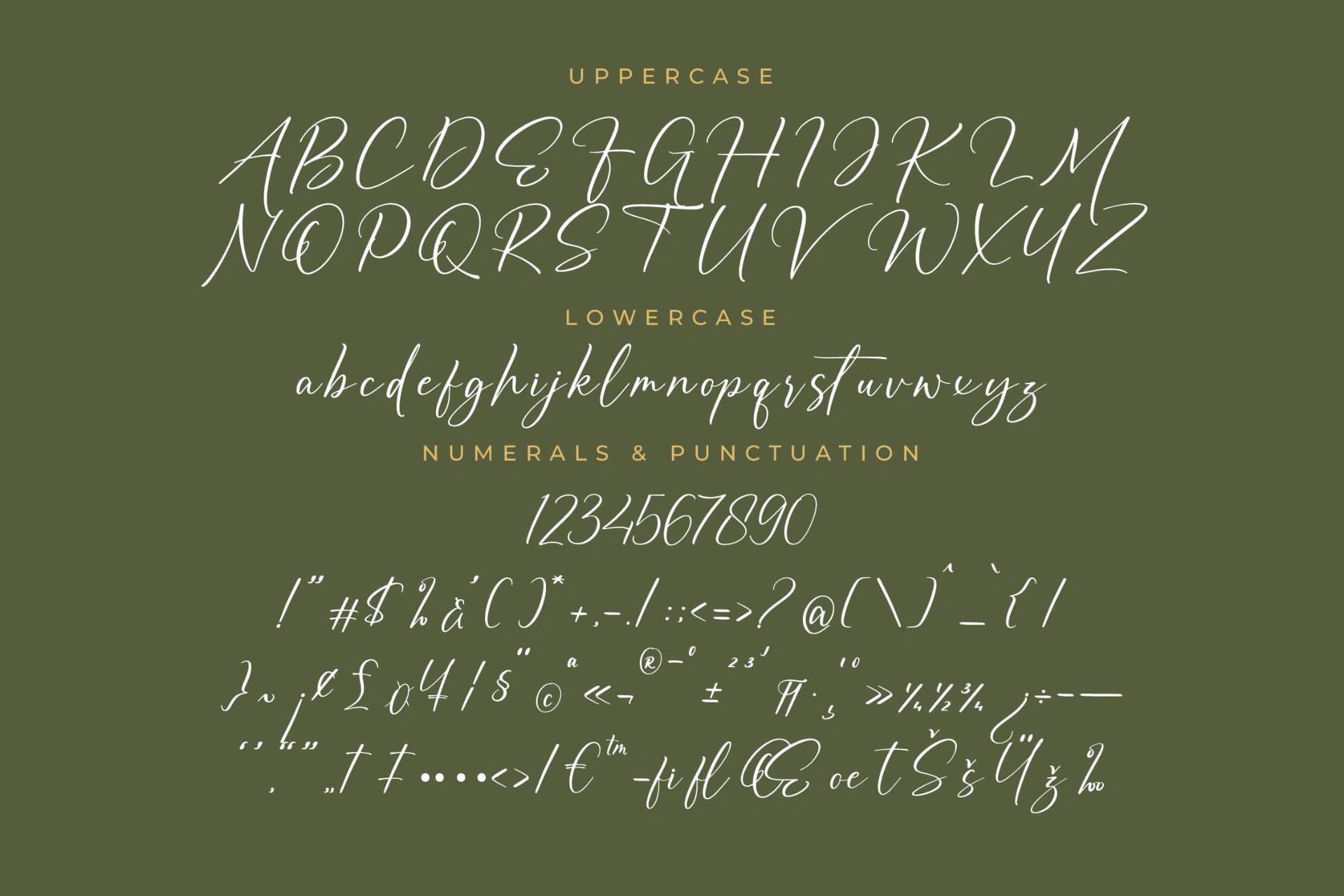 Preview 13 for Auronifal Meribant – Modern Signature Font