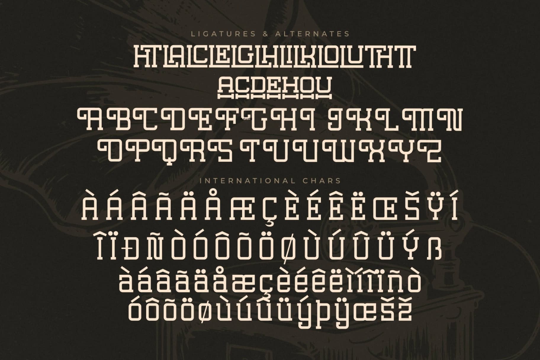 Preview 14 for Lastime Echoes - Display Slab Serif
