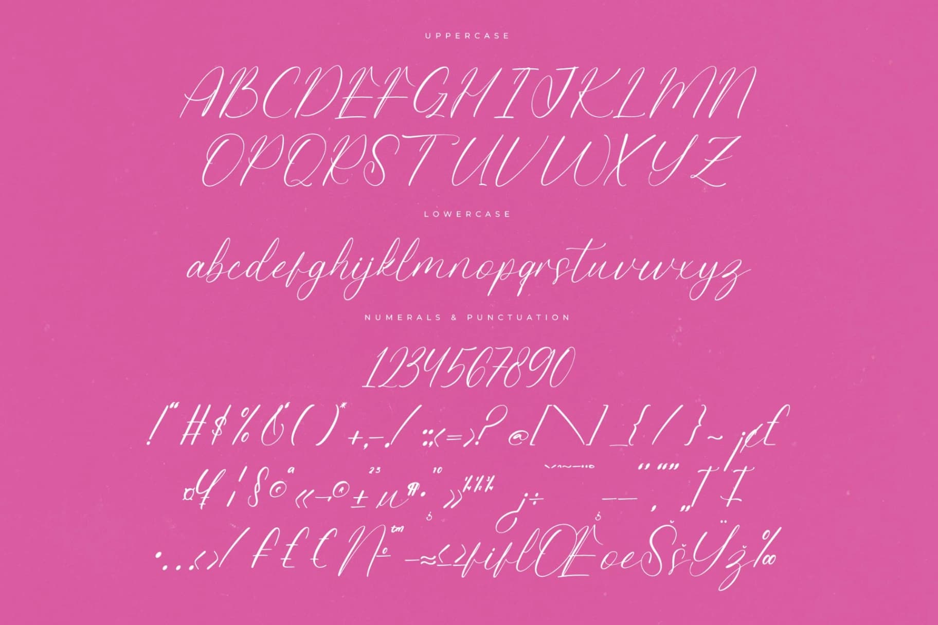 Preview 13 for Petalip Orchid – Modern Freestyle Stylish