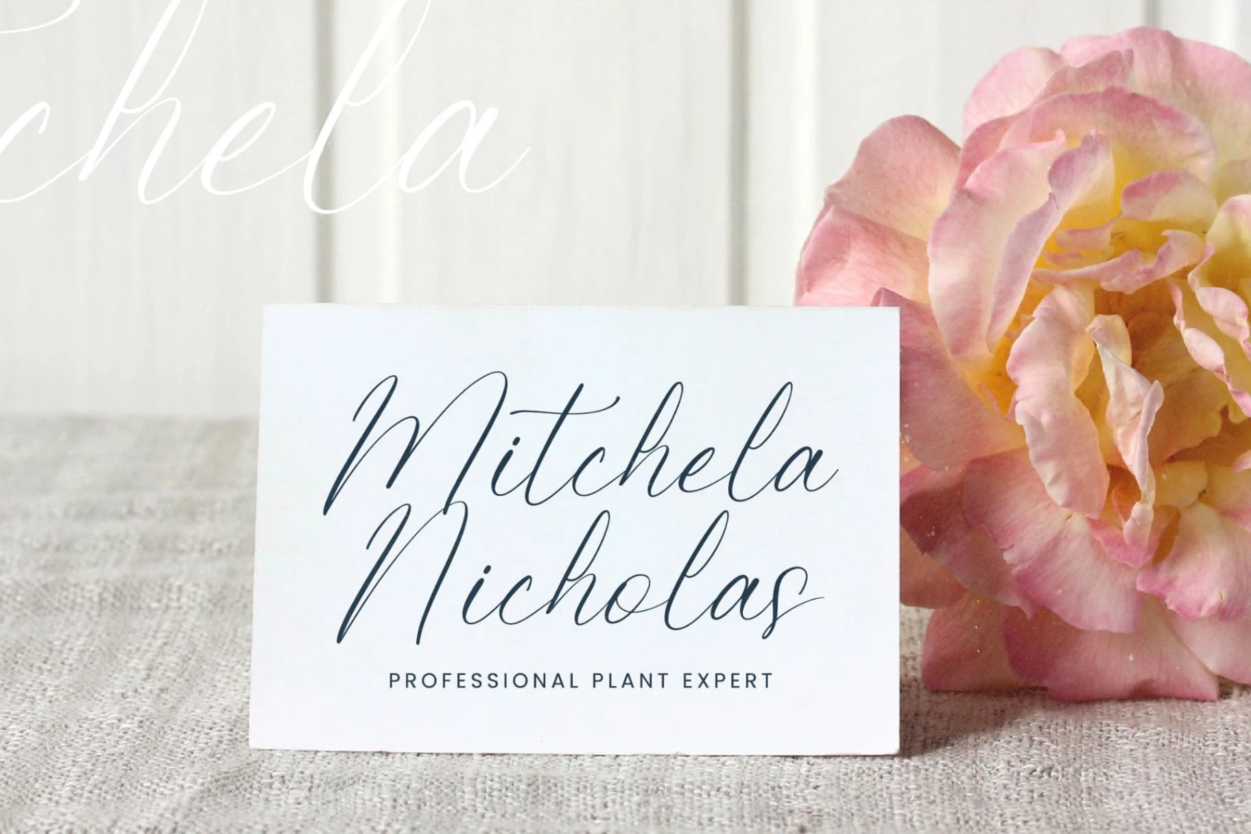 Preview 4 for Petalip Orchid – Modern Freestyle Stylish