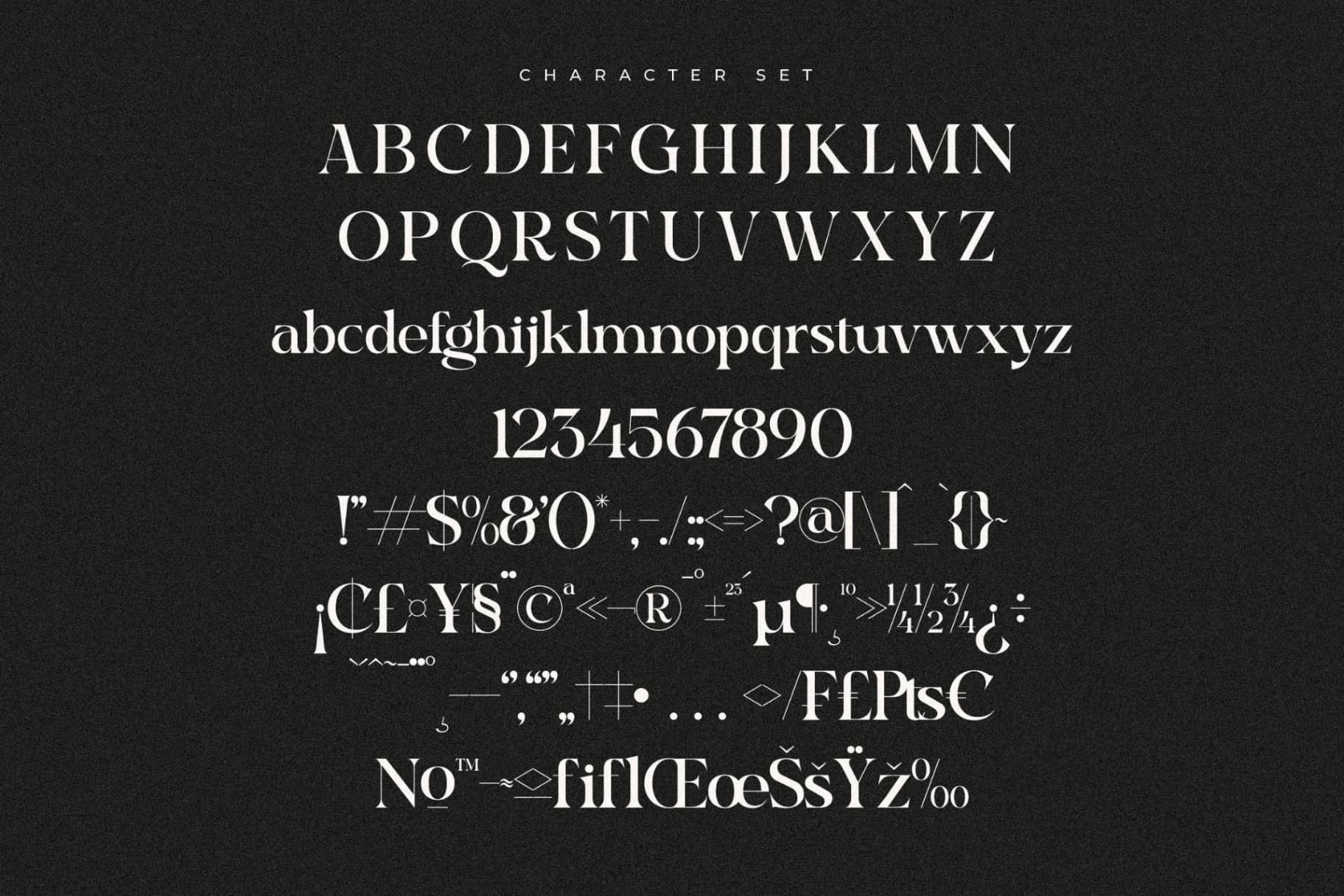 Preview 12 for Raglika - Modern Serif Font