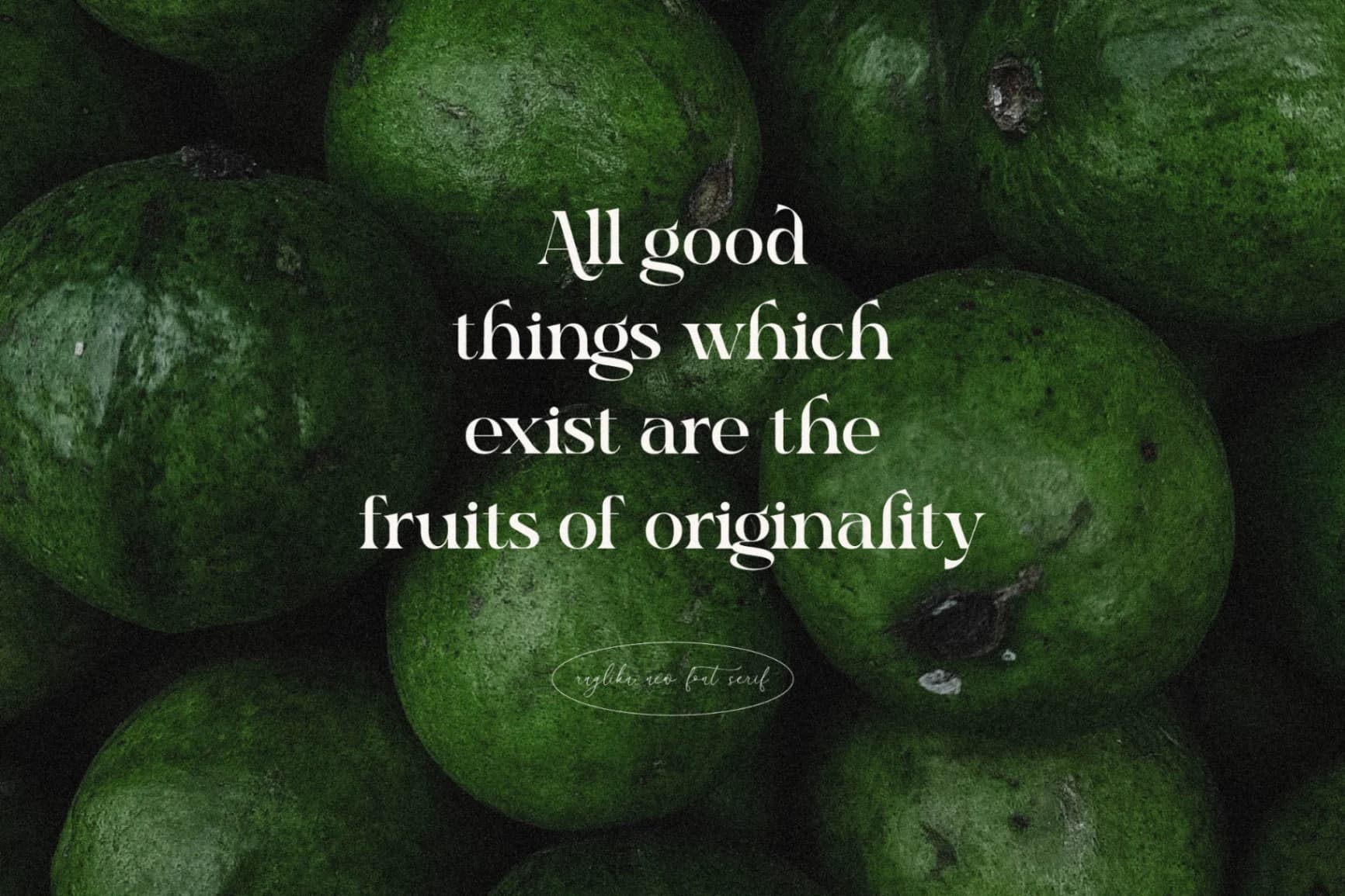 Preview 2 for Raglika - Modern Serif Font