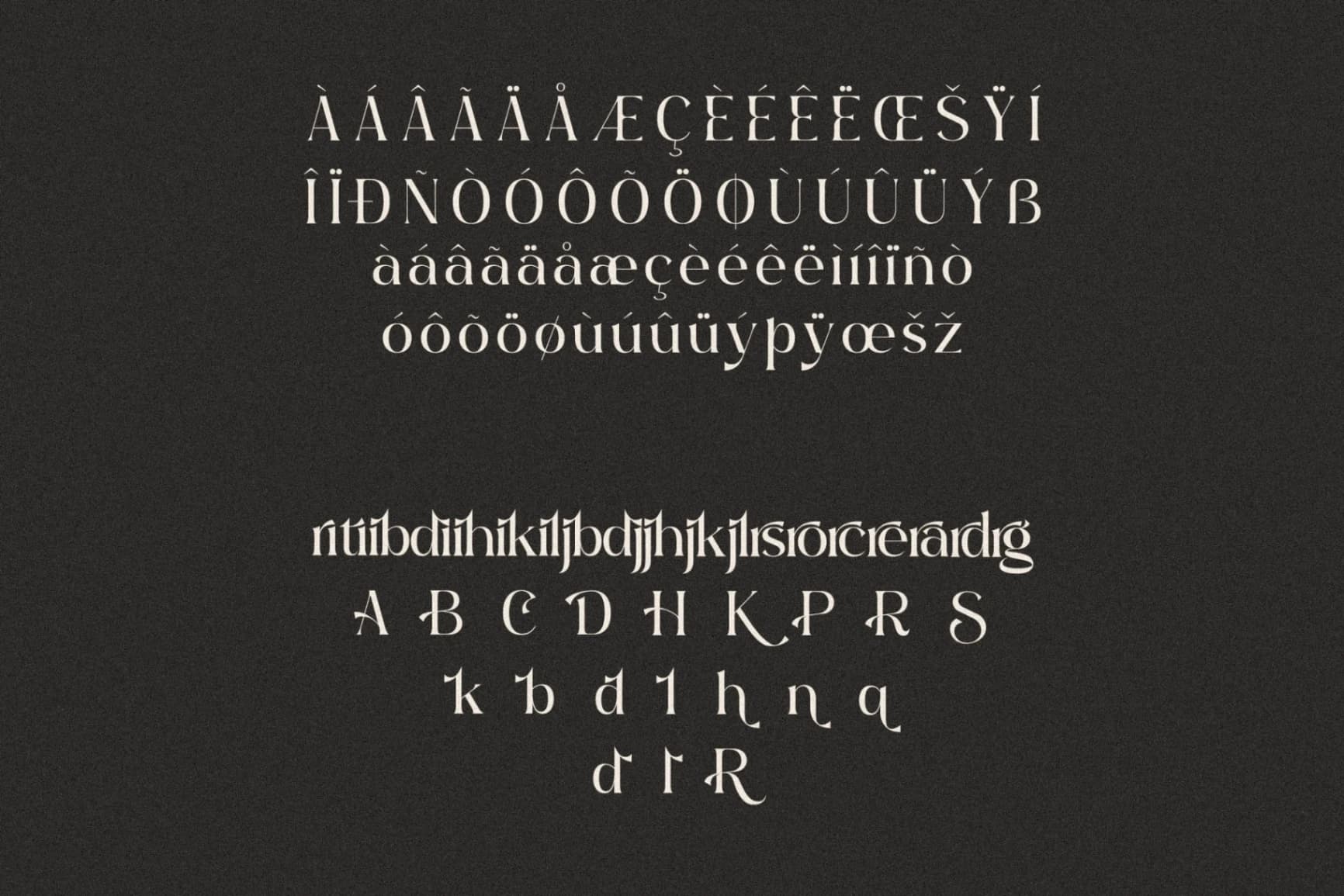 Preview 14 for Bilagike - Modern Serif Font