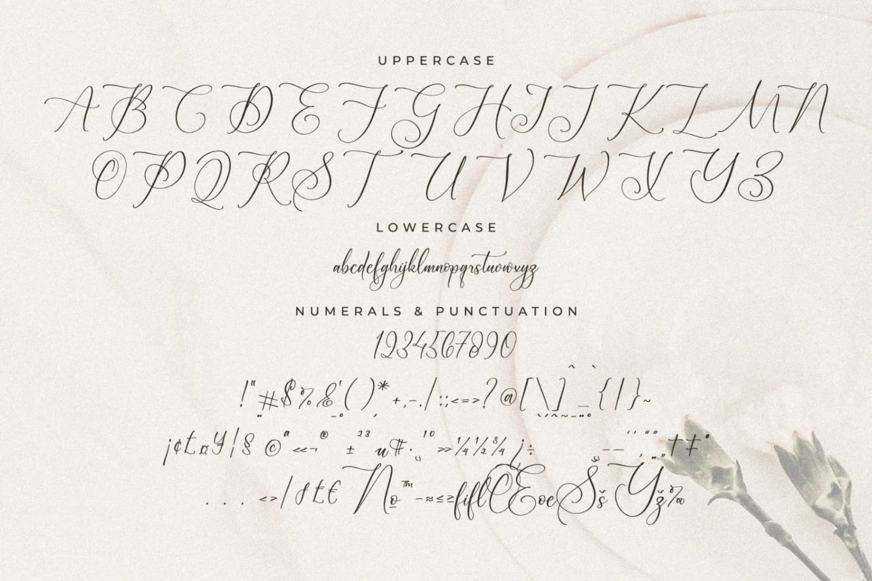 Preview 13 for Blacksttam - Luxury Script Font