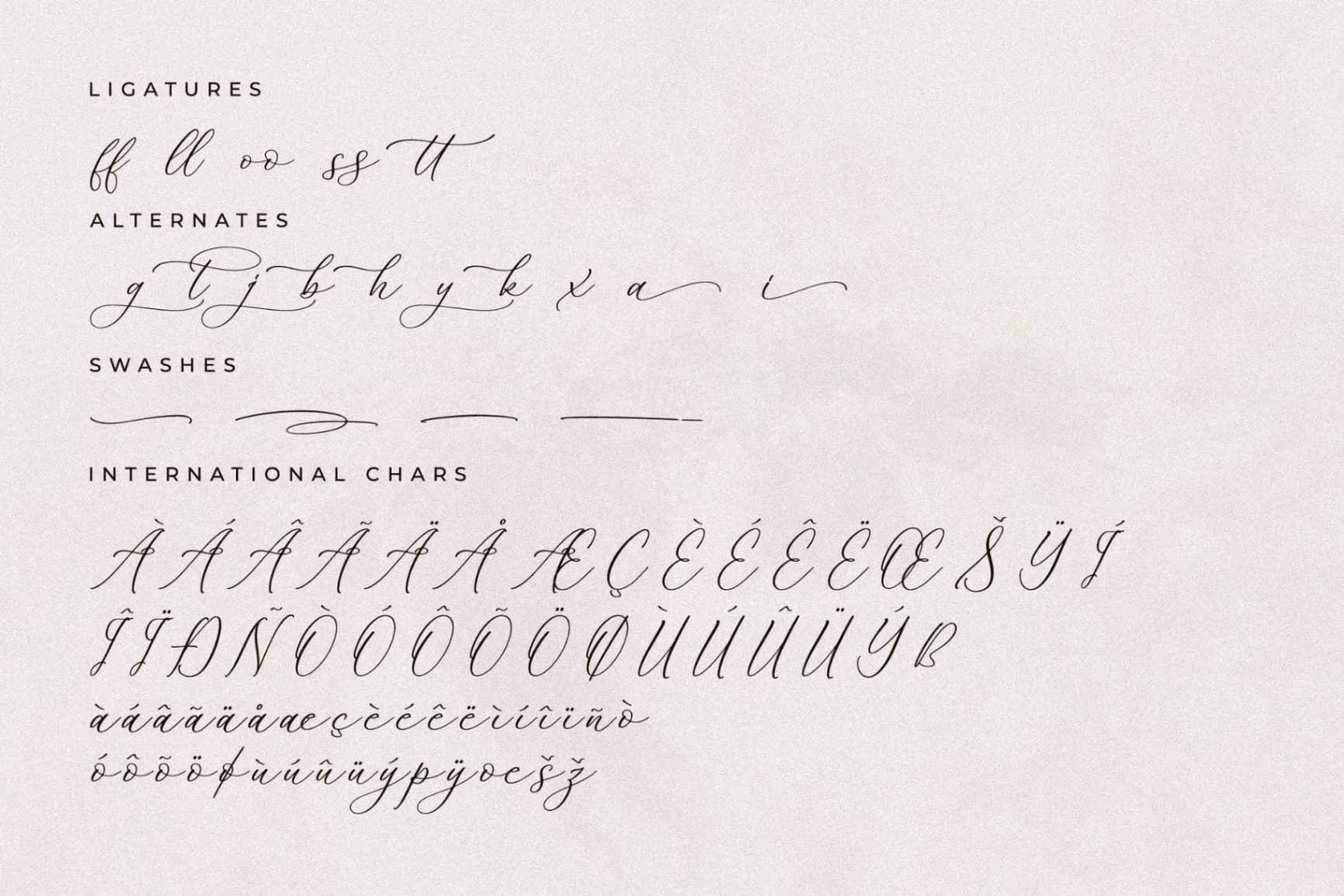 Preview 14 for Whitley Pattrycia - Luxury Calligraphy Font