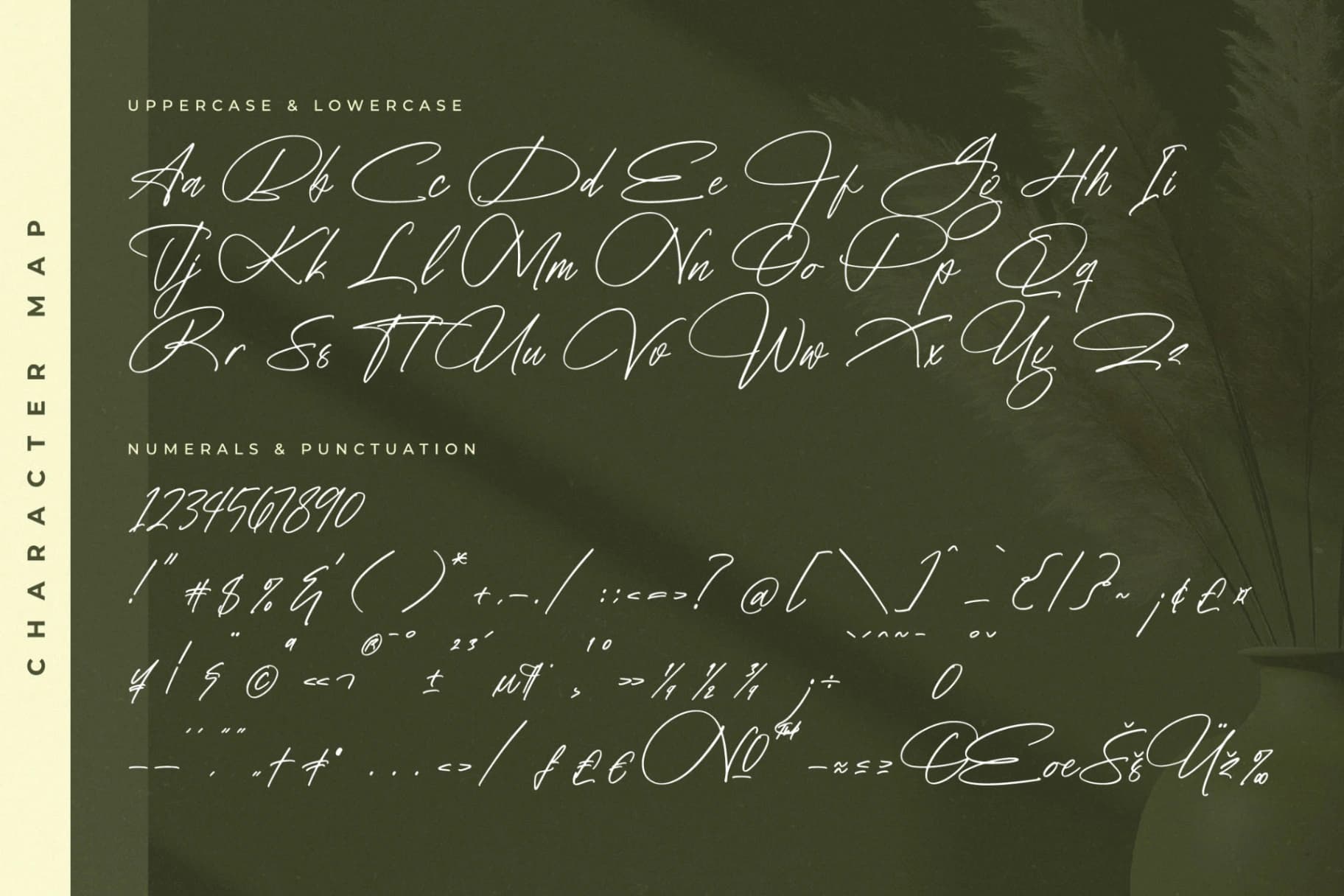 Preview 13 for Fantaslife Radiostar – Modern Signature Font