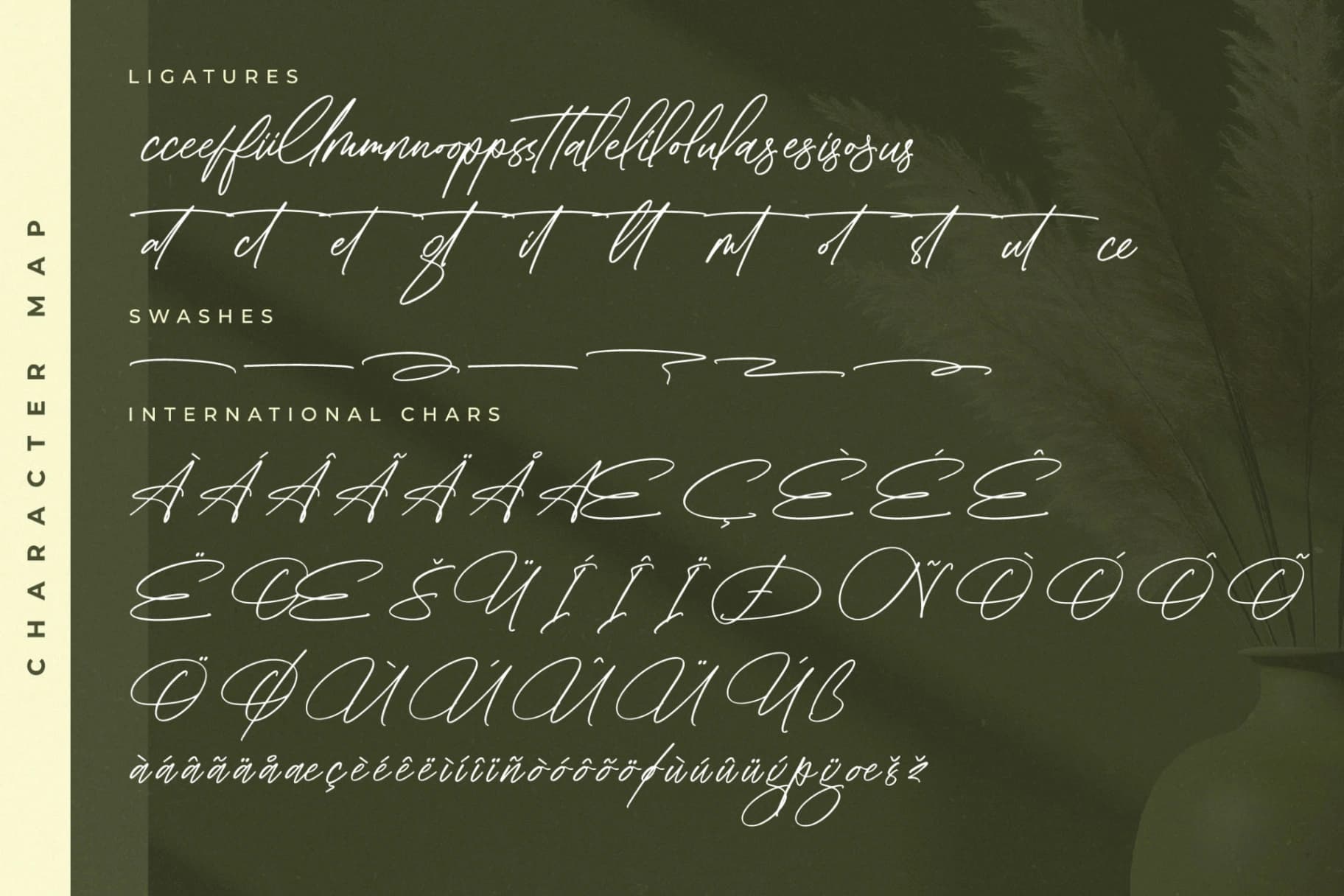 Preview 14 for Fantaslife Radiostar – Modern Signature Font