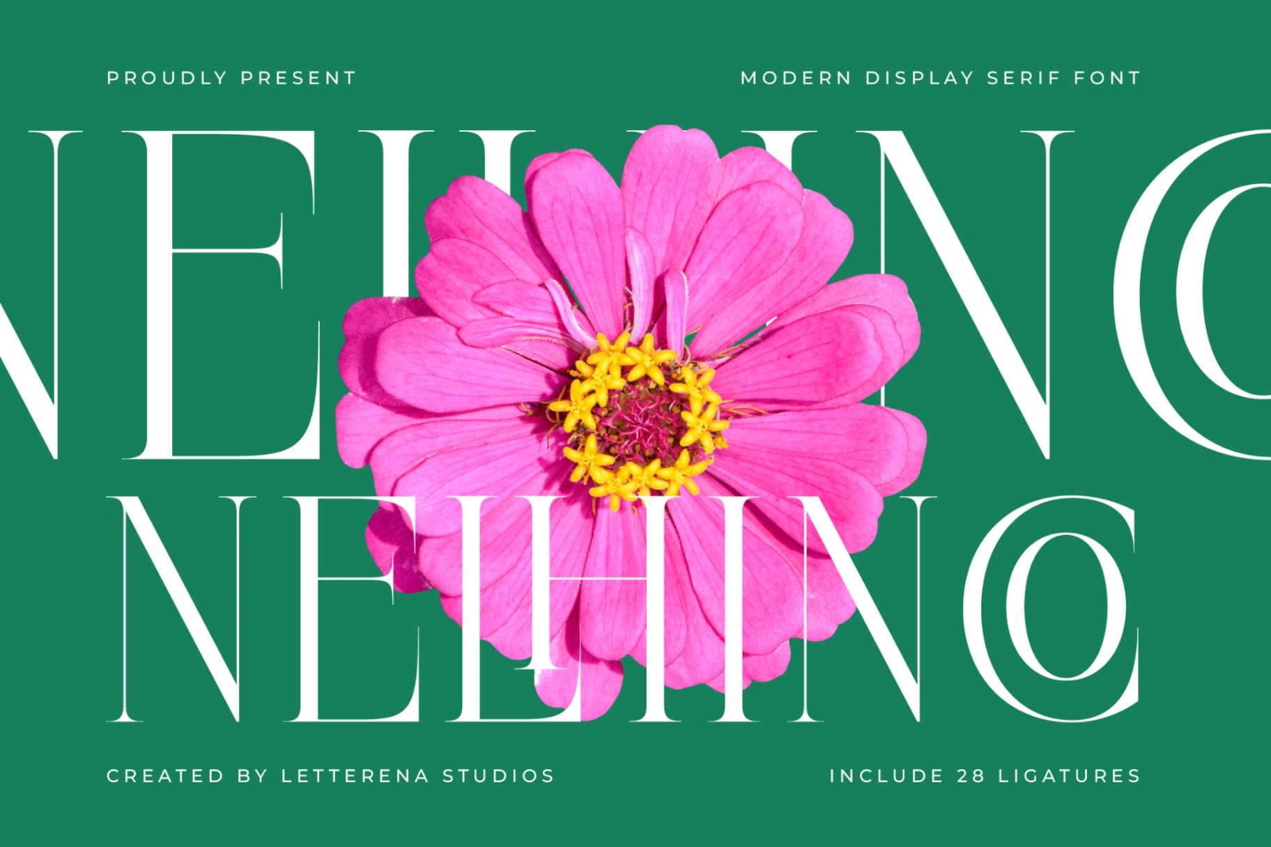 Preview 1 for Nelhinco - Modern Display Serif