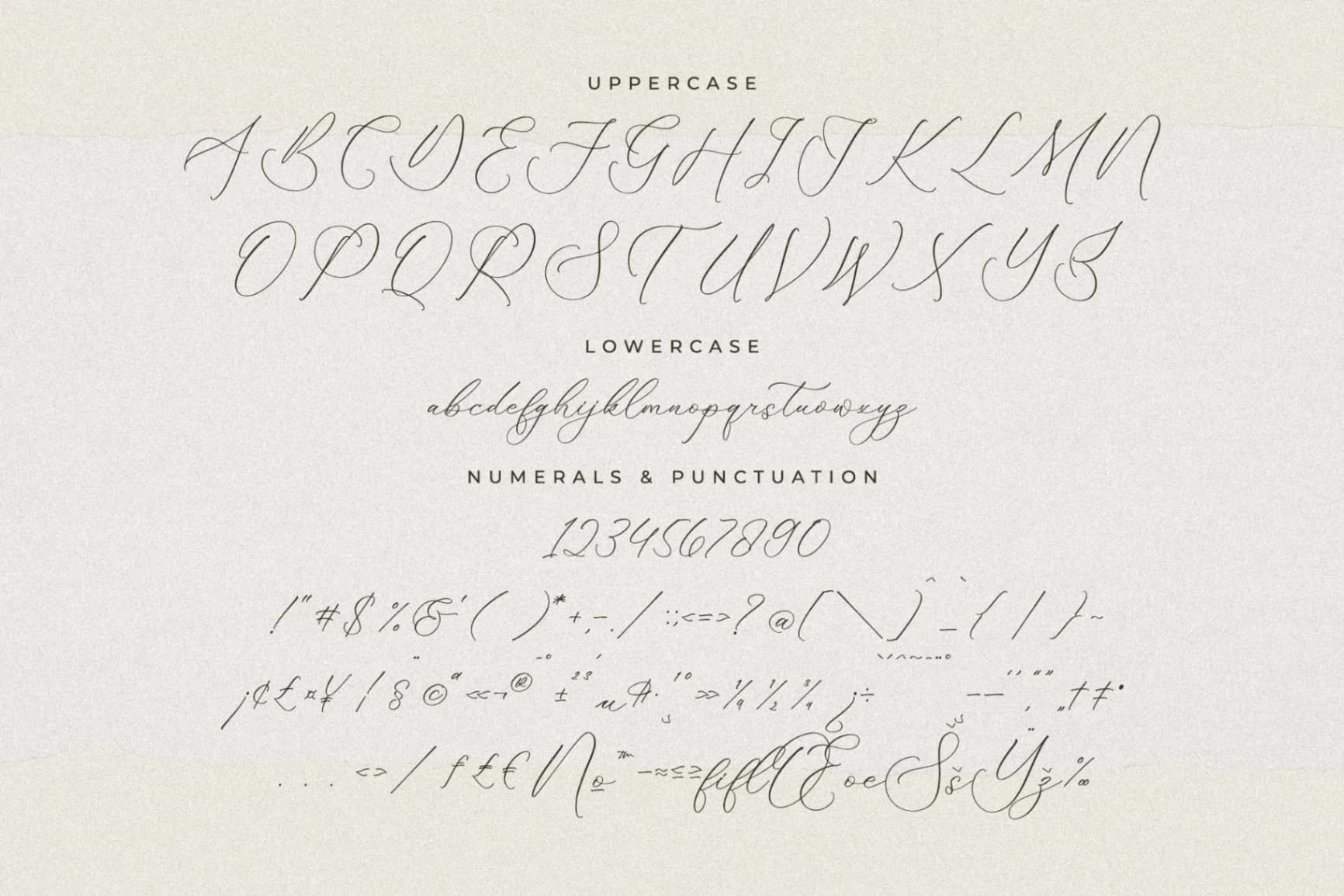 Preview 13 for Fattrios Schudnel - Chic Calligraphy Font