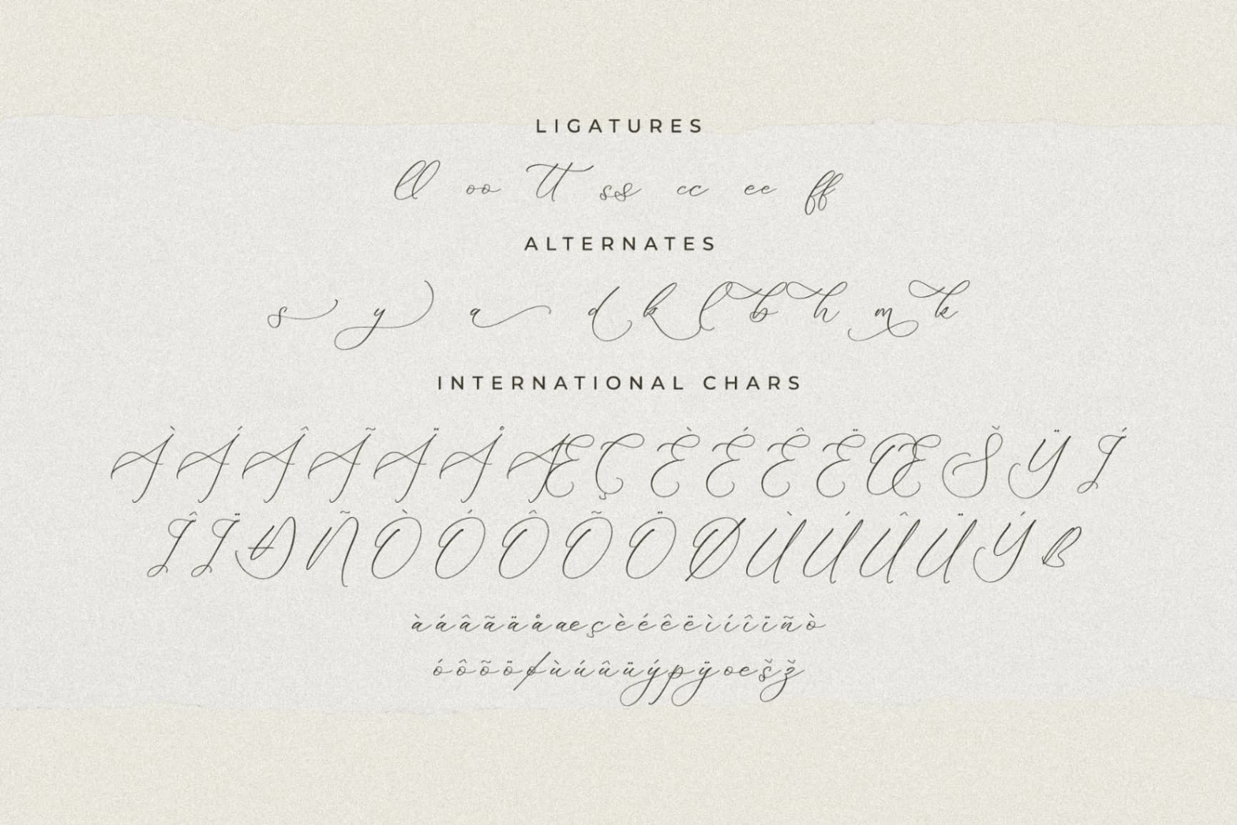 Preview 14 for Fattrios Schudnel - Chic Calligraphy Font