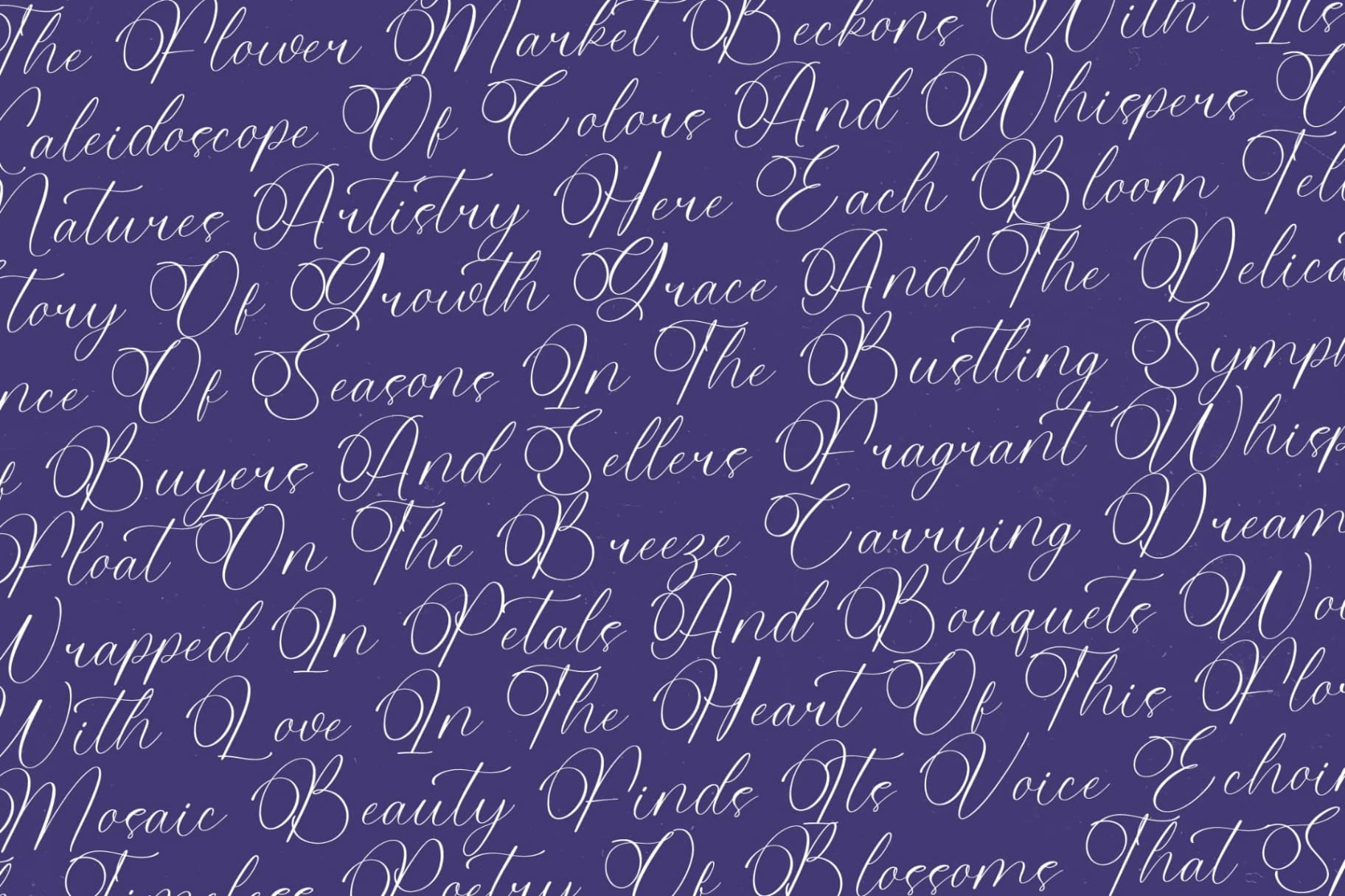 Preview 11 for Belati Sophia - Modern Beauty Script