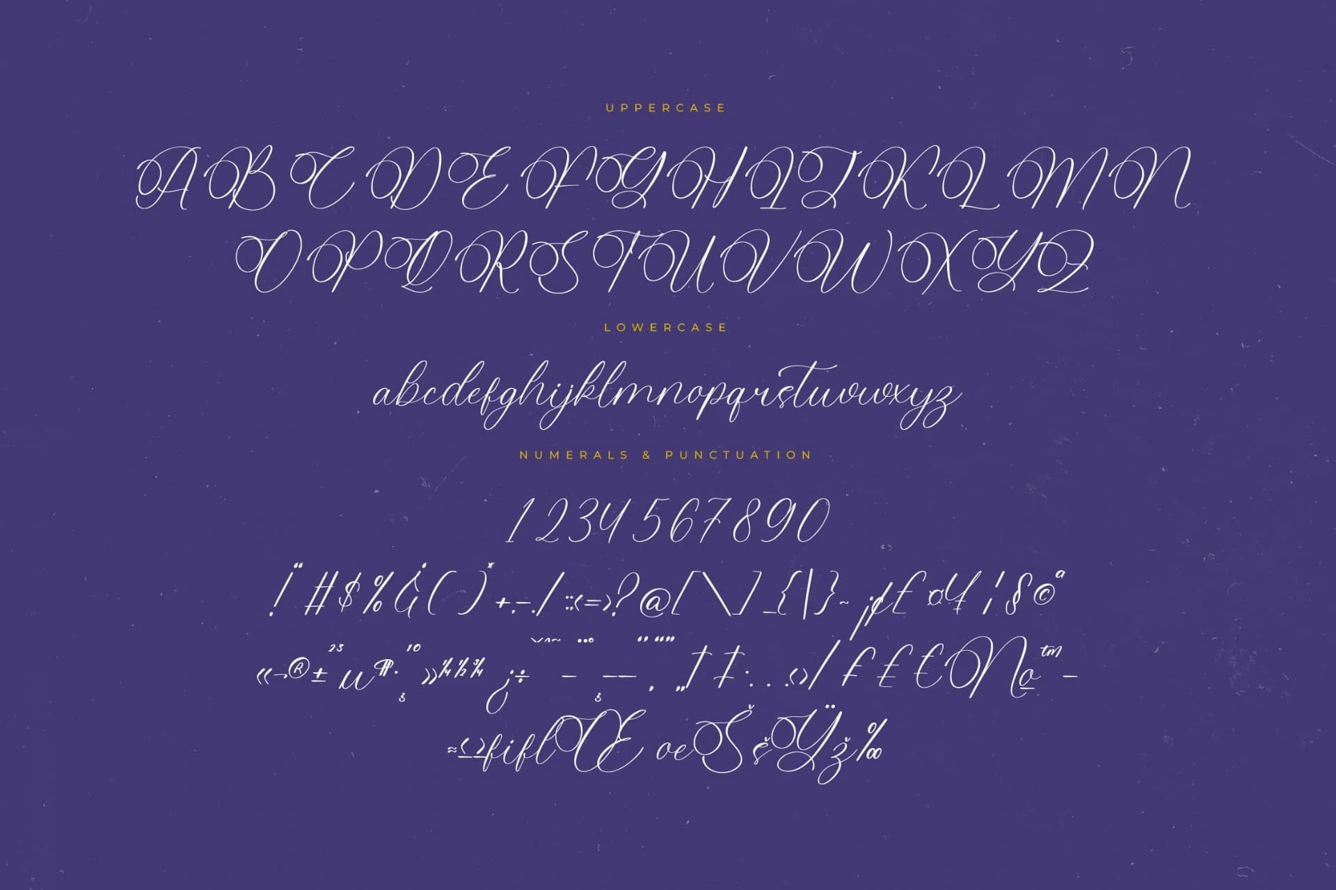 Preview 13 for Belati Sophia - Modern Beauty Script