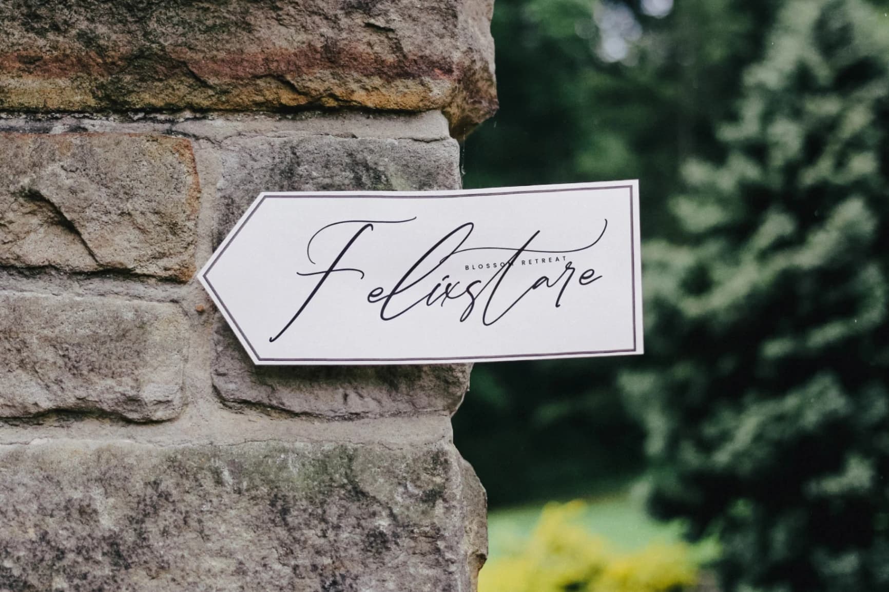 Preview 2 for Amsterdam Fieldstar – Beautiful Script Font