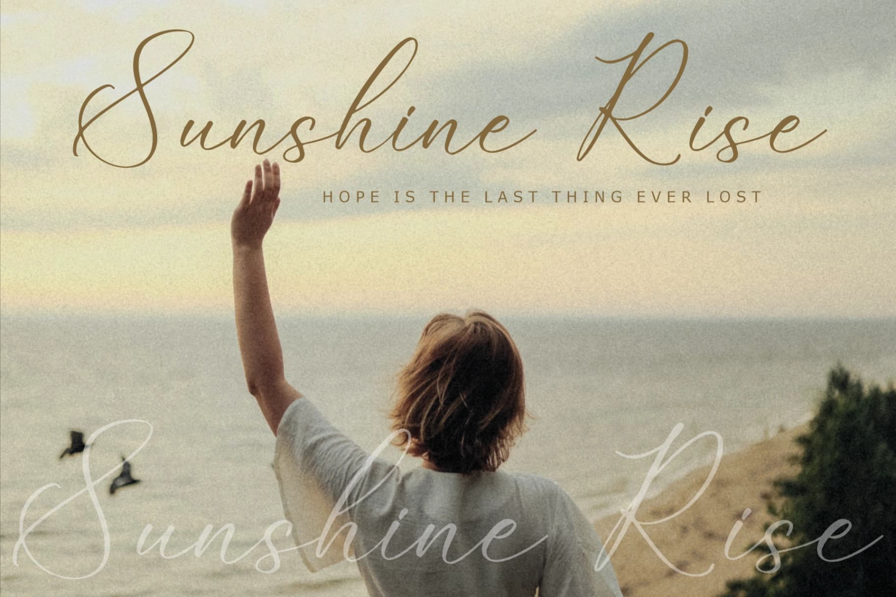 Preview 2 for Alnetsia Montenela - Luxury Script Font