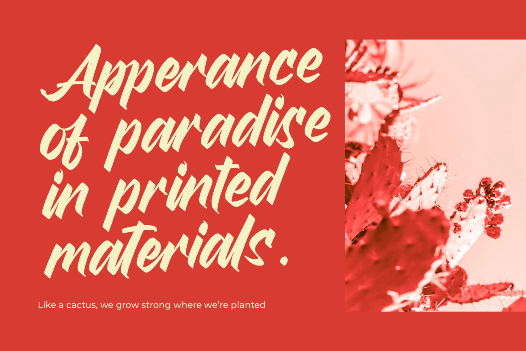 Preview 4 for Broklyn Enthusia - Bold Handwritten Font