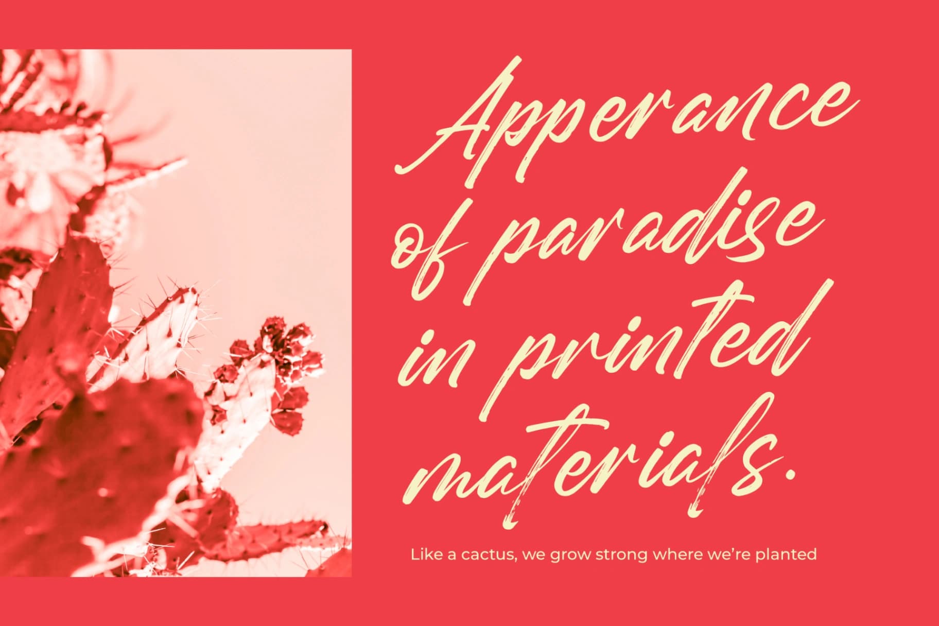 Preview 10 for Gently Milarea - Modern Brush Font