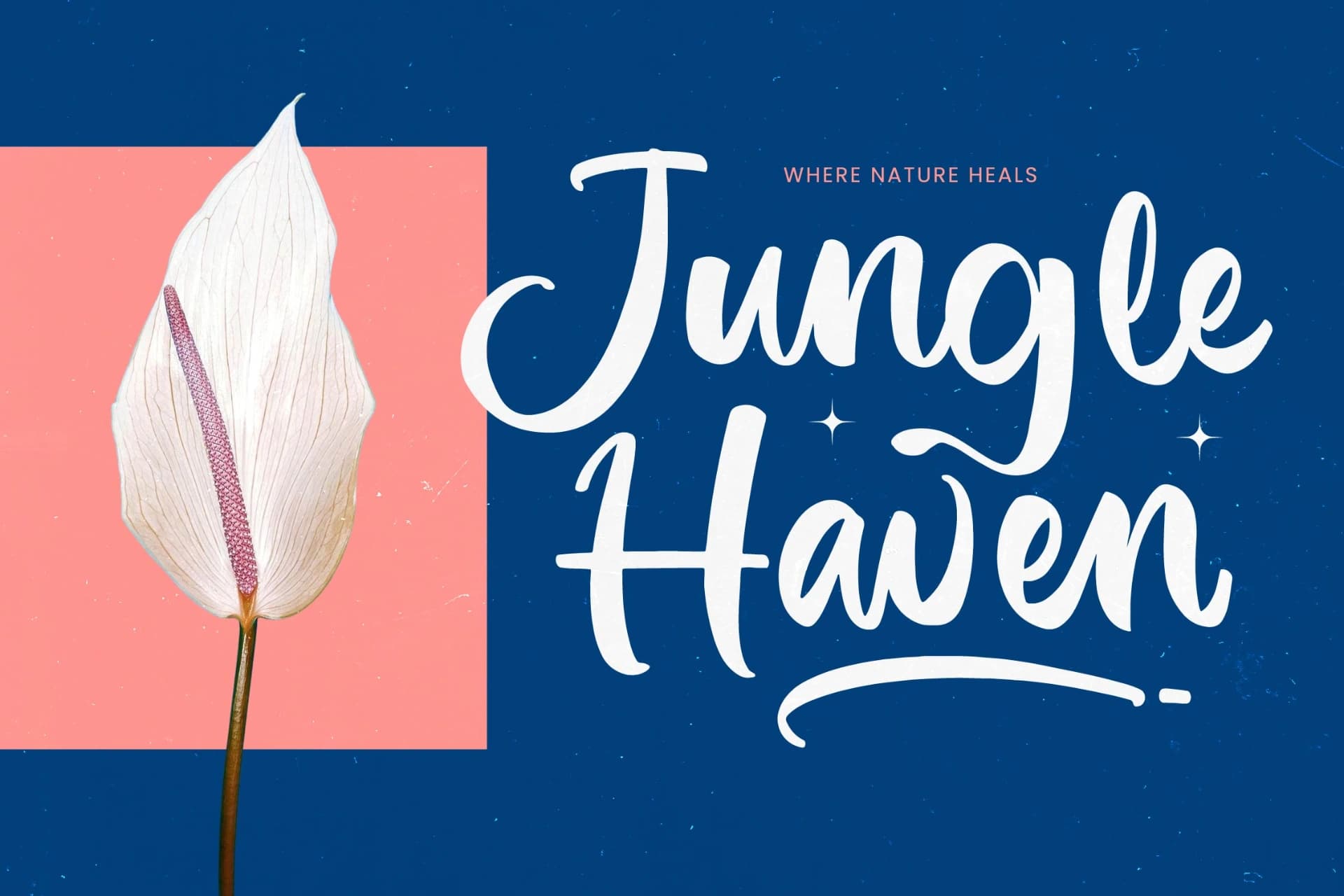 Preview 2 for Imagine Sunday - Bold Handwritten Font