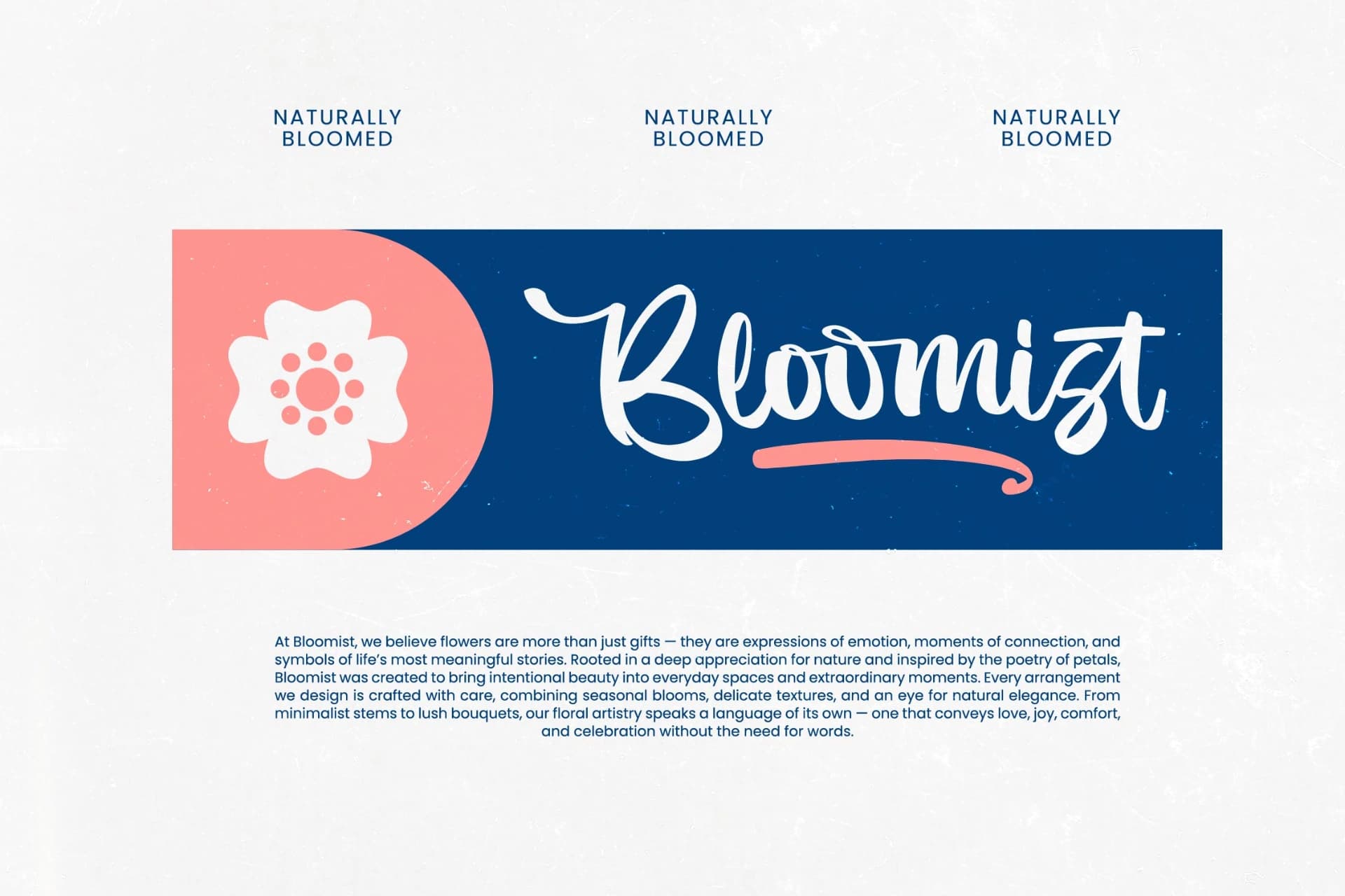 Preview 5 for Imagine Sunday - Bold Handwritten Font