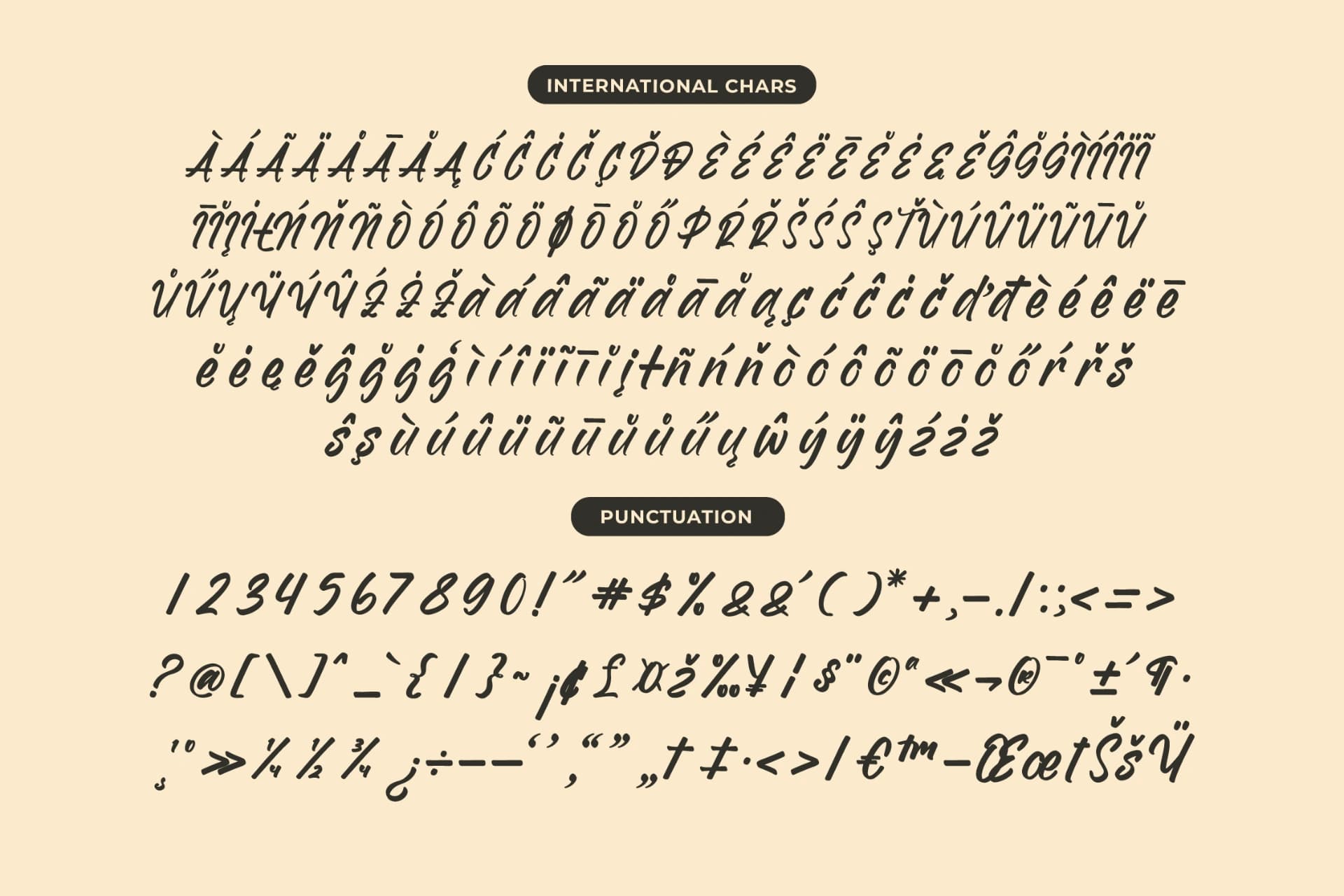 Preview 14 for Homes Spaceline – Bold Handwritten Font