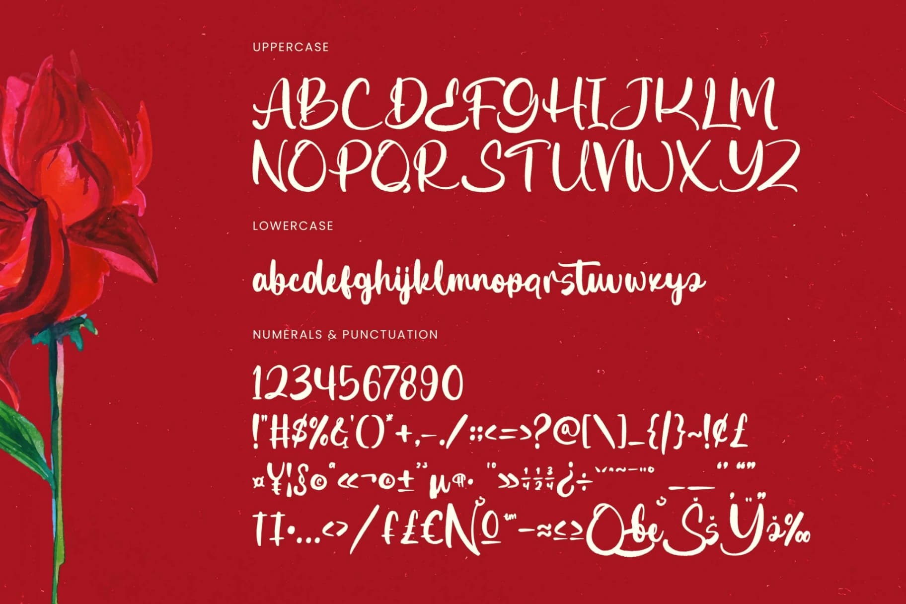 Preview 17 for Ghatyna - Bold Brush Font