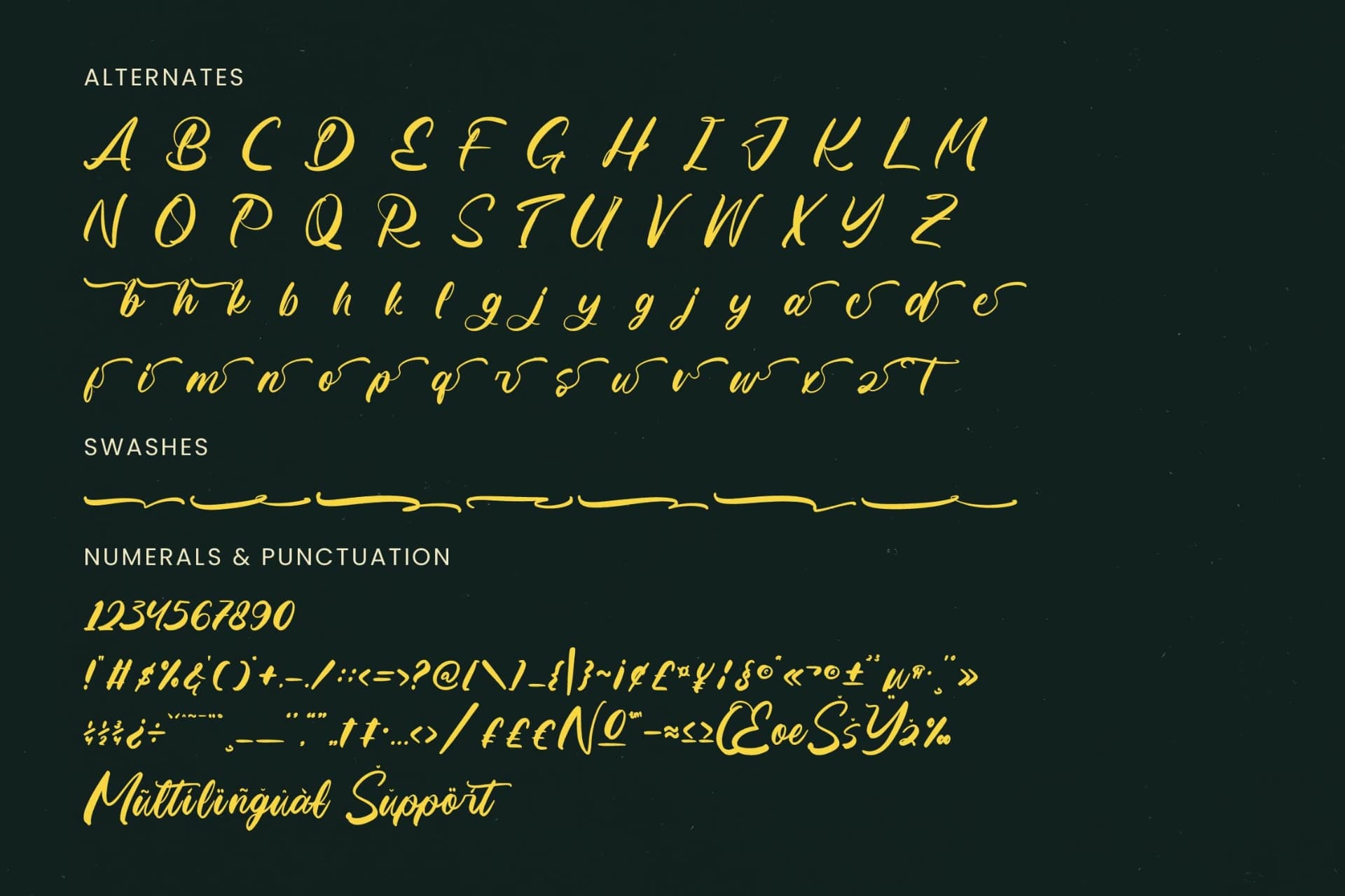 Preview 18 for Matric Bunker - Bold Brush Font