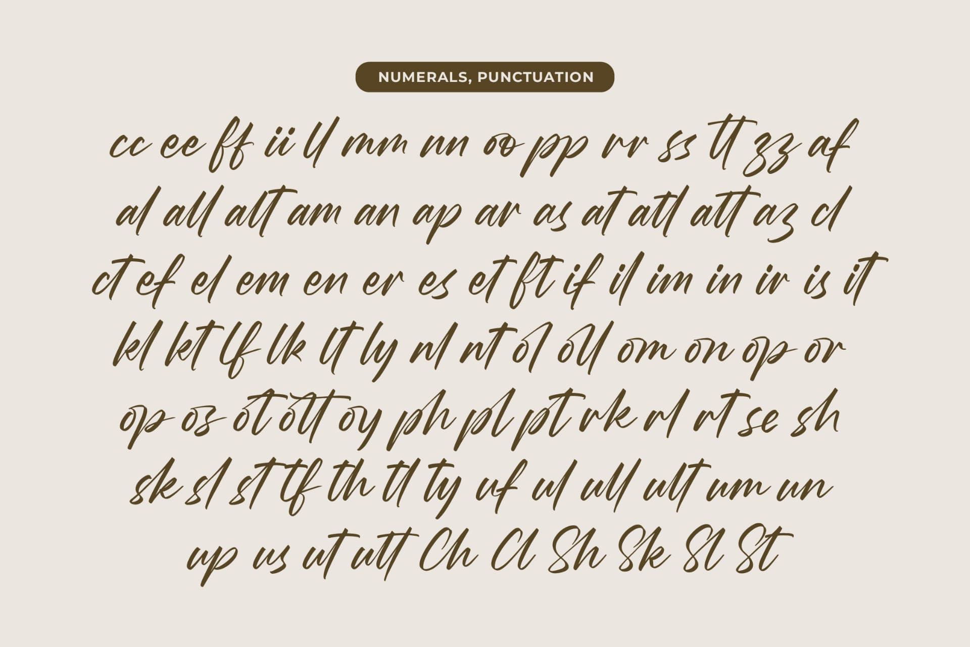 Preview 18 for Wystine Esphelta - Modern Brush Font