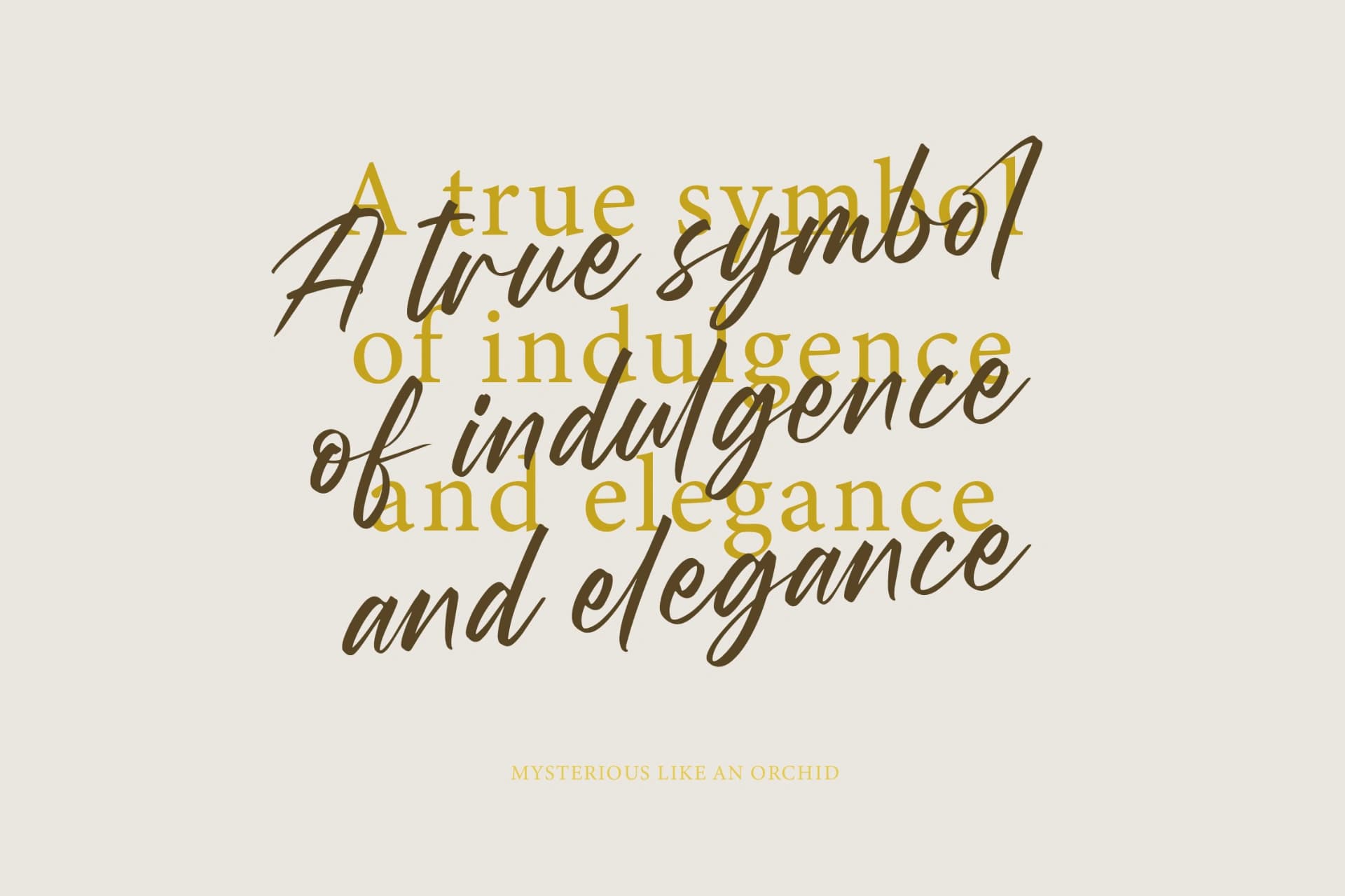 Preview 4 for Wystine Esphelta - Modern Brush Font